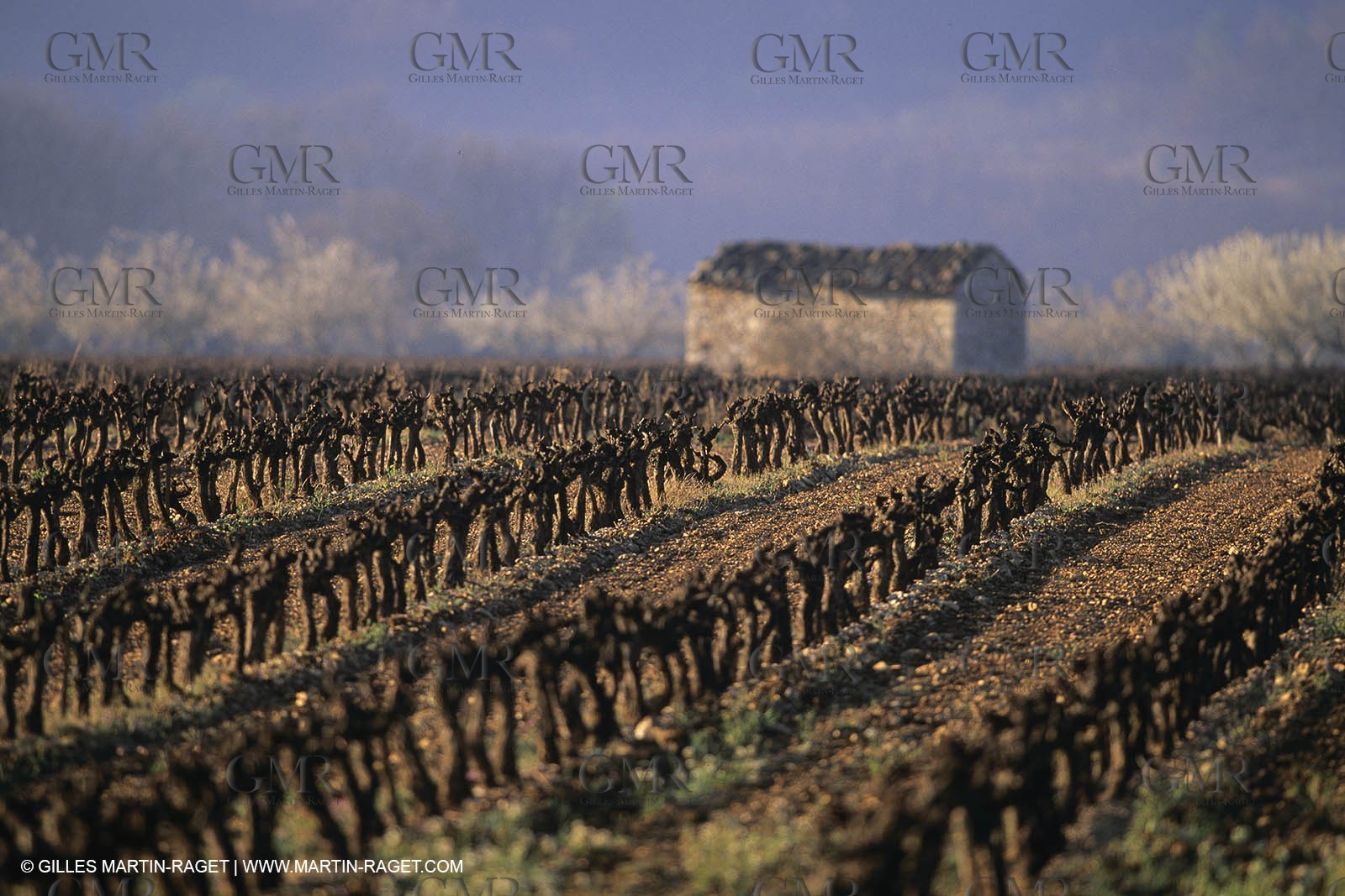 Landscapes and villages of Luberon national Park (FRA,04)