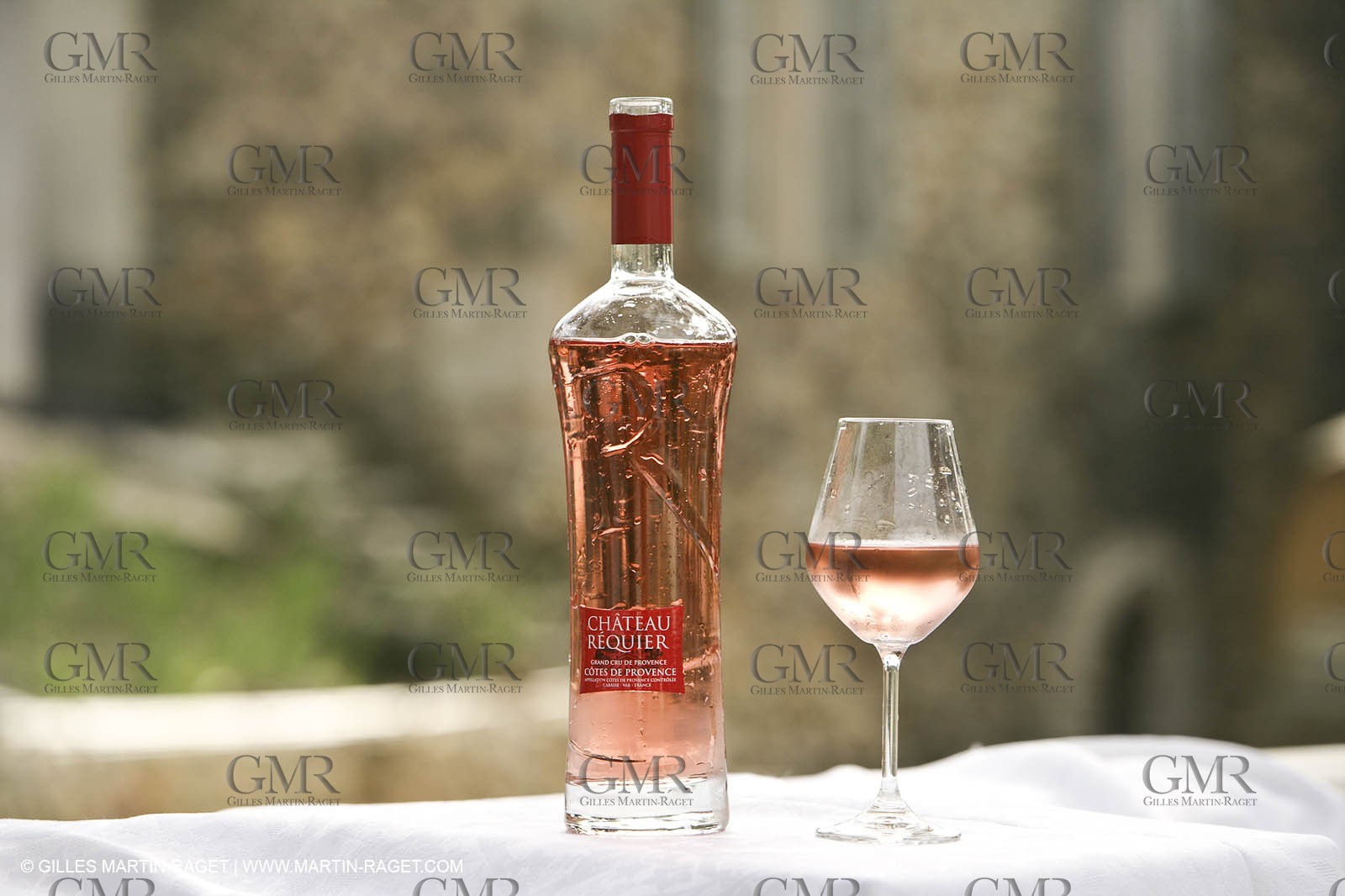 28 02 2008 - Cabasse (FRA, 83) - Domaine du Lac vines