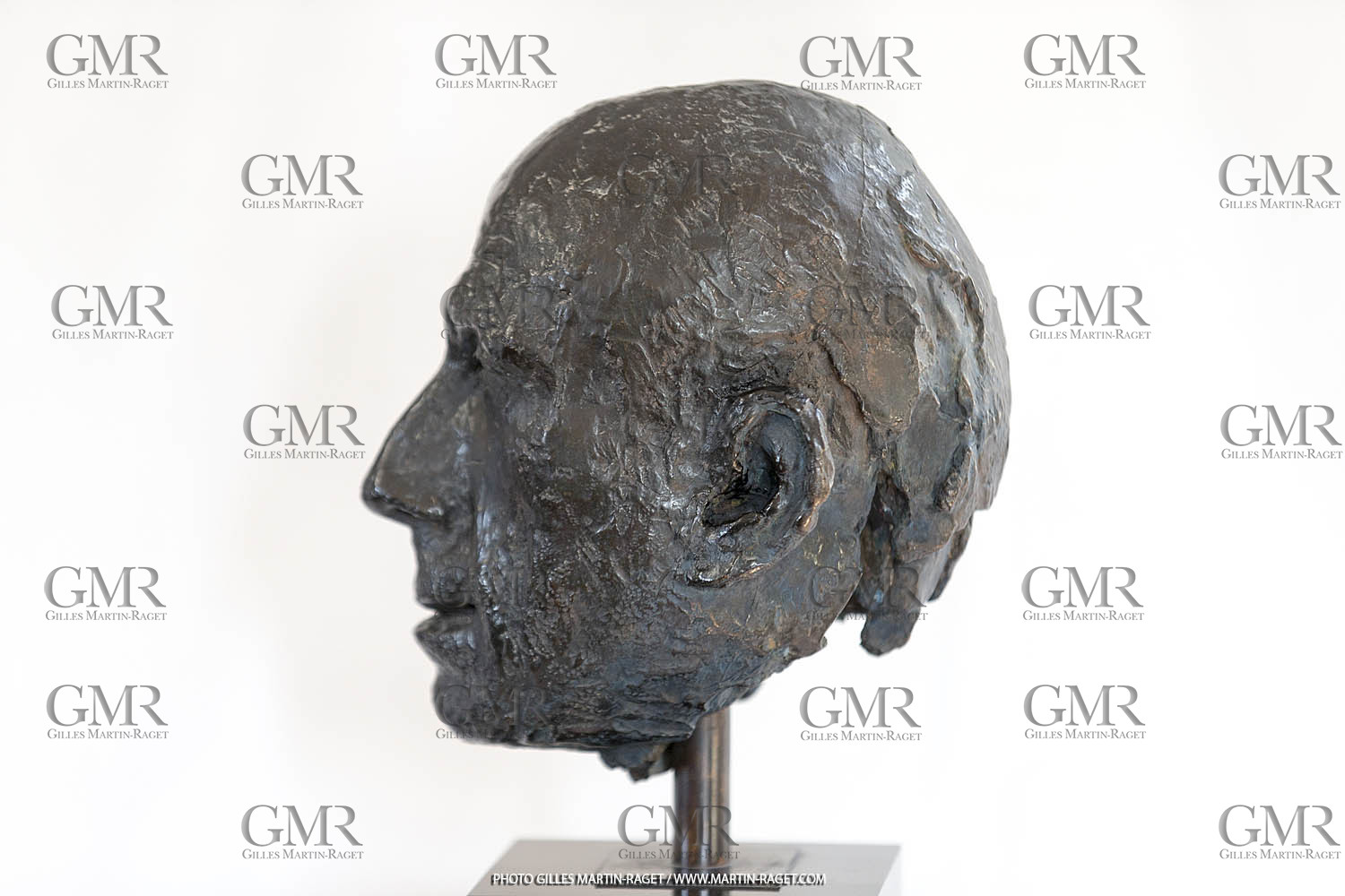 06 03 2016, Saint Etienne du Grès (FRA,13), Oeuvre de Germaine Richier, buste Le Guerrier, 1945, 5 8