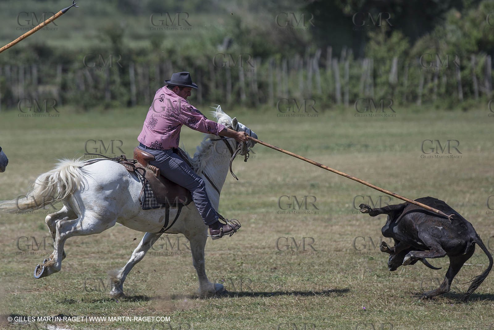 Course de Satin 2014 - Arles (FRA,13) - 1 06 2014**The satin race - Arles (FRA,13) - 01 06 2014