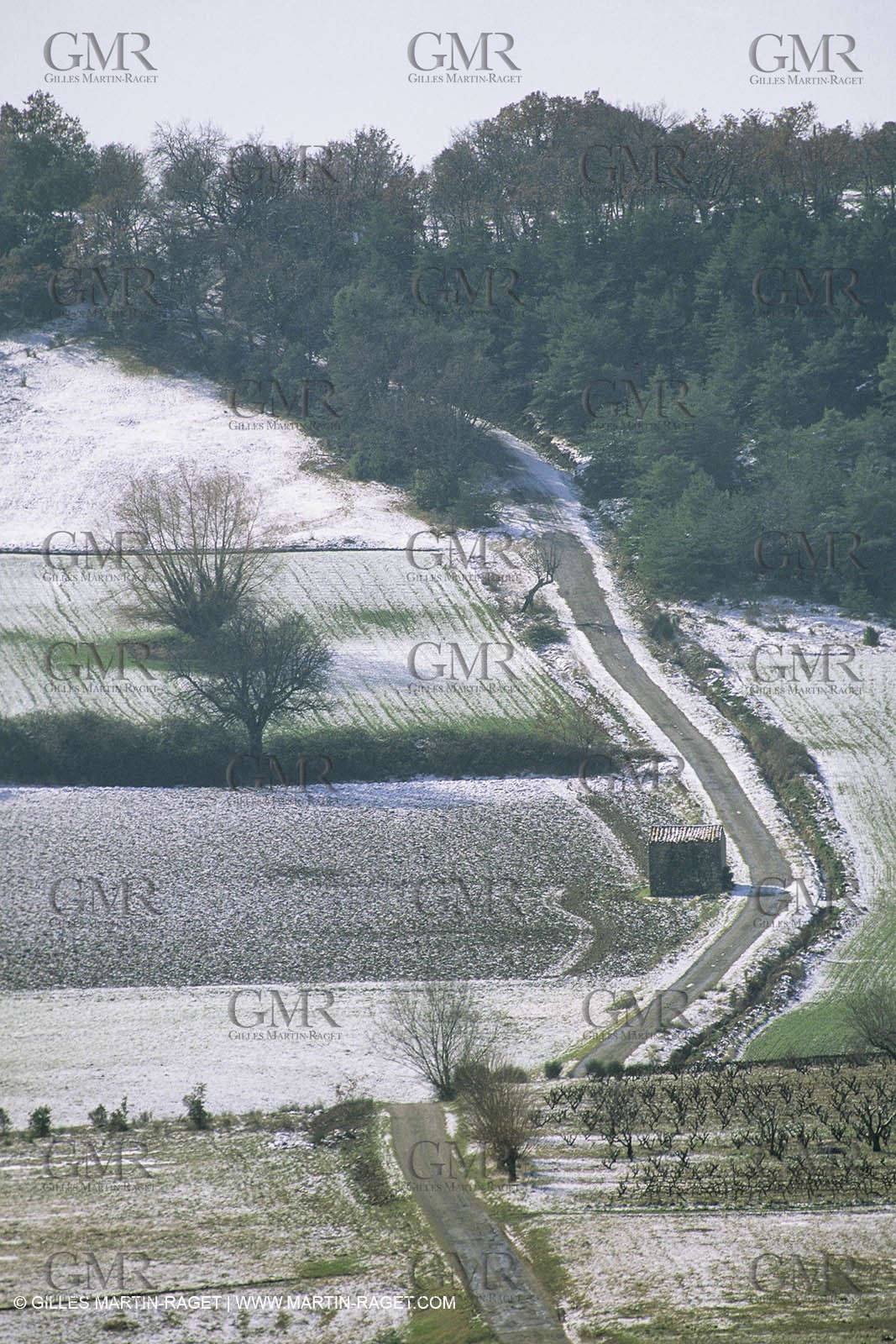 France, Provence, Neige en hiver   Snow in Provence