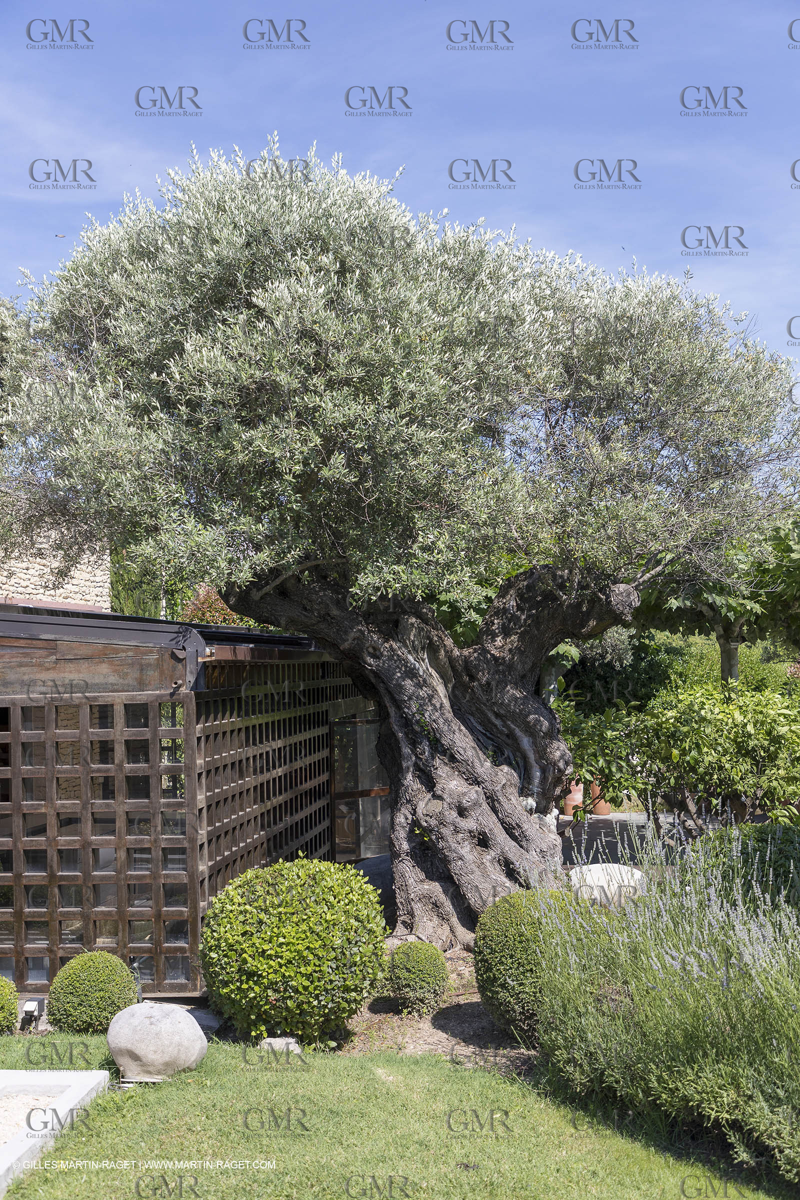 22 06 2018, Saint-Saturnin les Apts (FRA,84), Domaine des Andéols