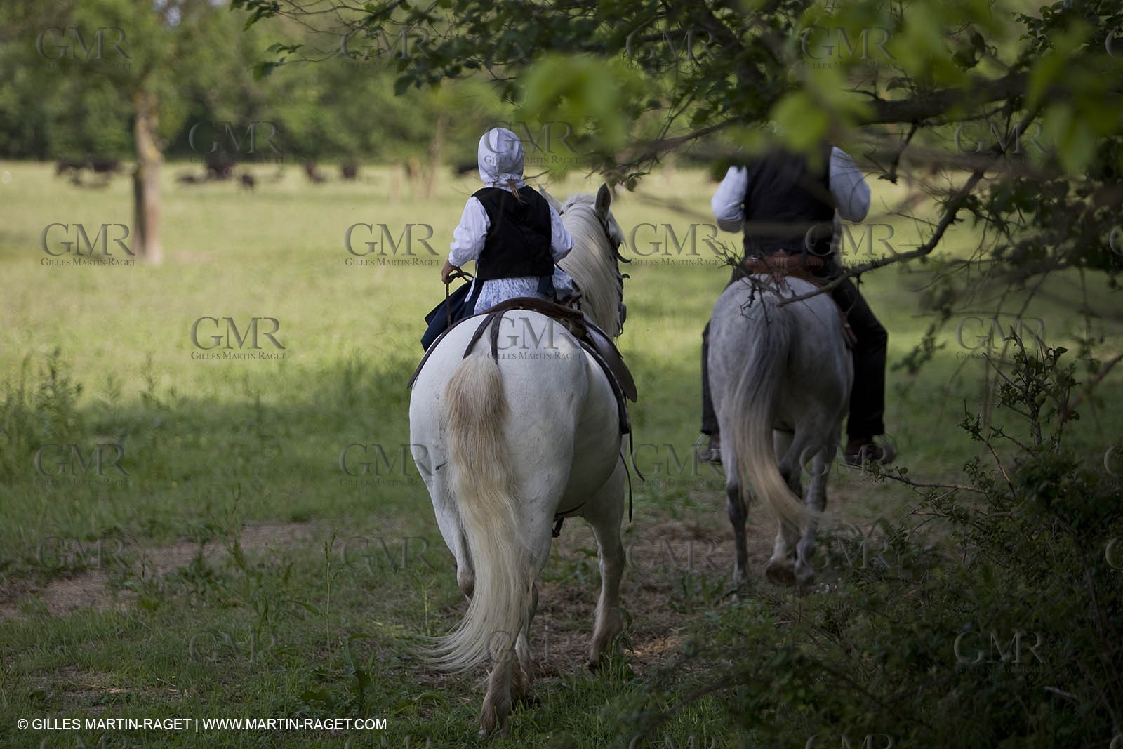 07 05 2008 - Le Cailar (FRA,30) - Stock work at Mas du Pont de Laute domain