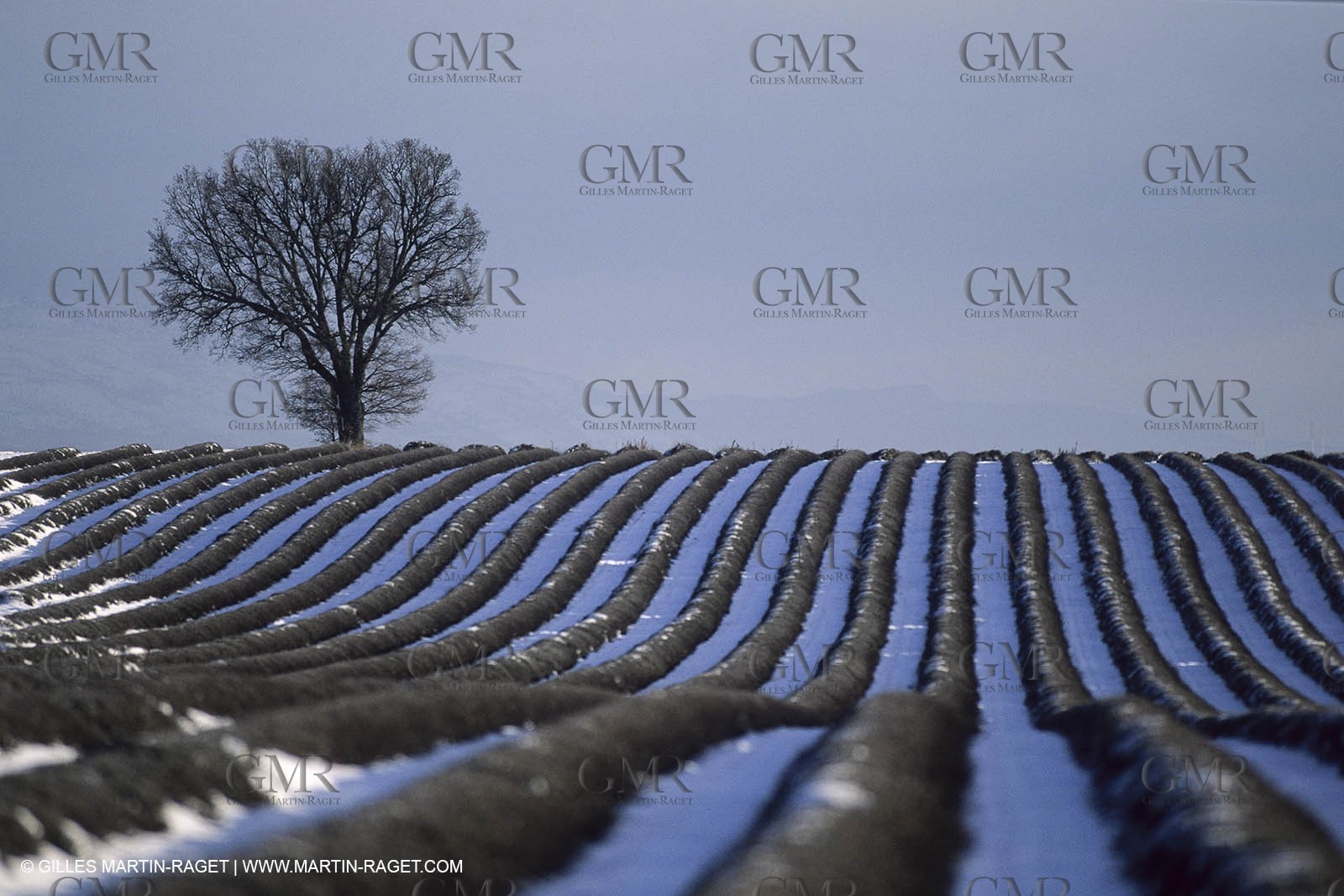 Provence under snow - Higher Provence - Valensole plateau
