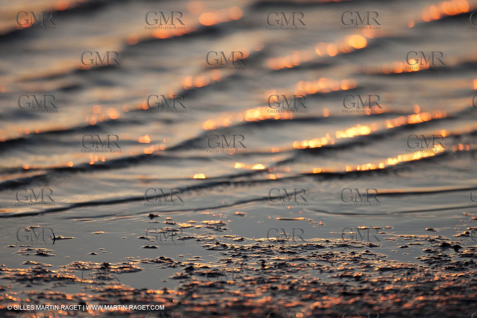 25 05 2011 - Les Saintes Maries de la Mer (FRA,13) - gypsies gathering