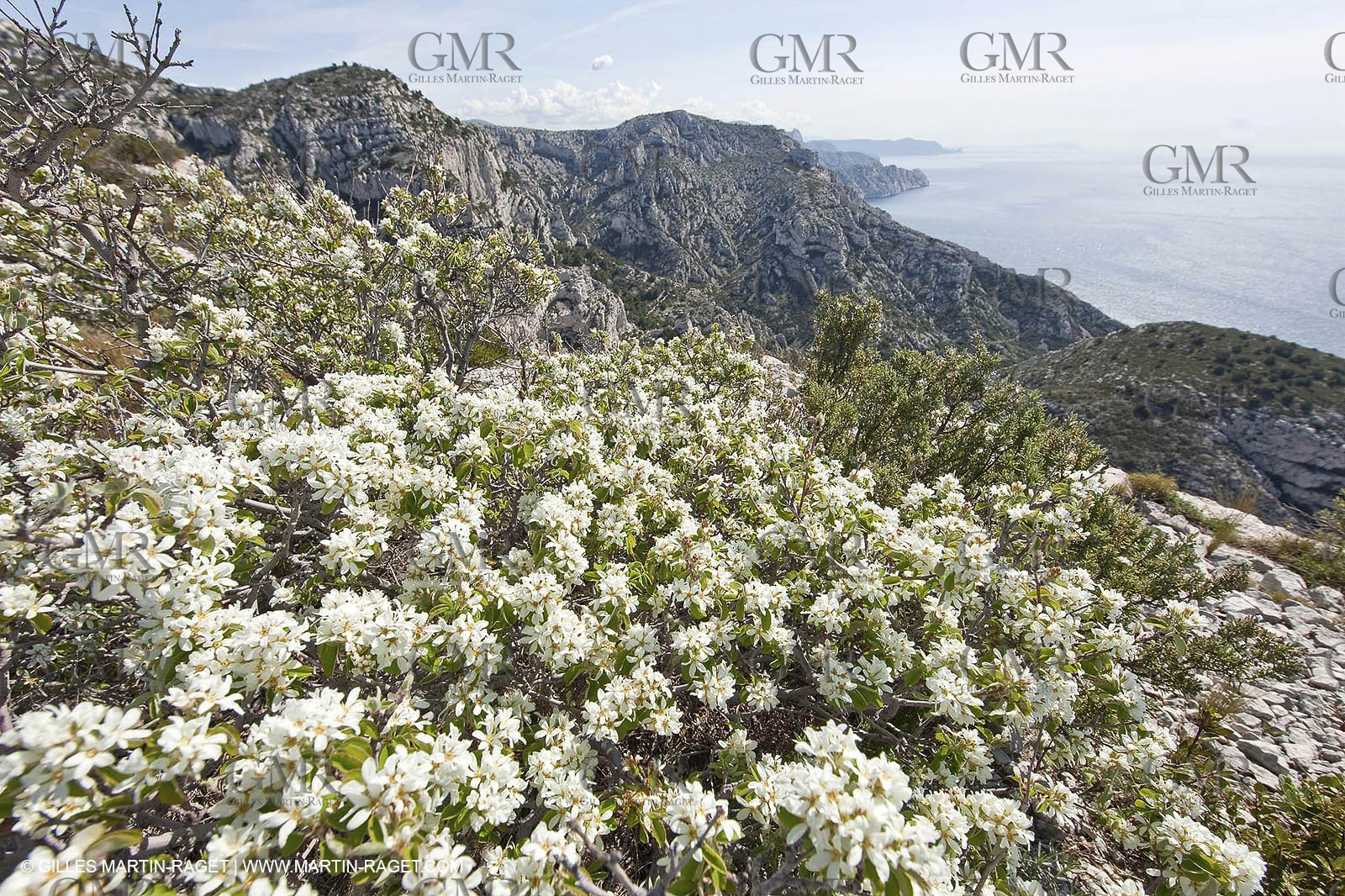 18 04 2009 - Marseille (FRA, 13) - Les Calanques - At the summit od rocher St Michel