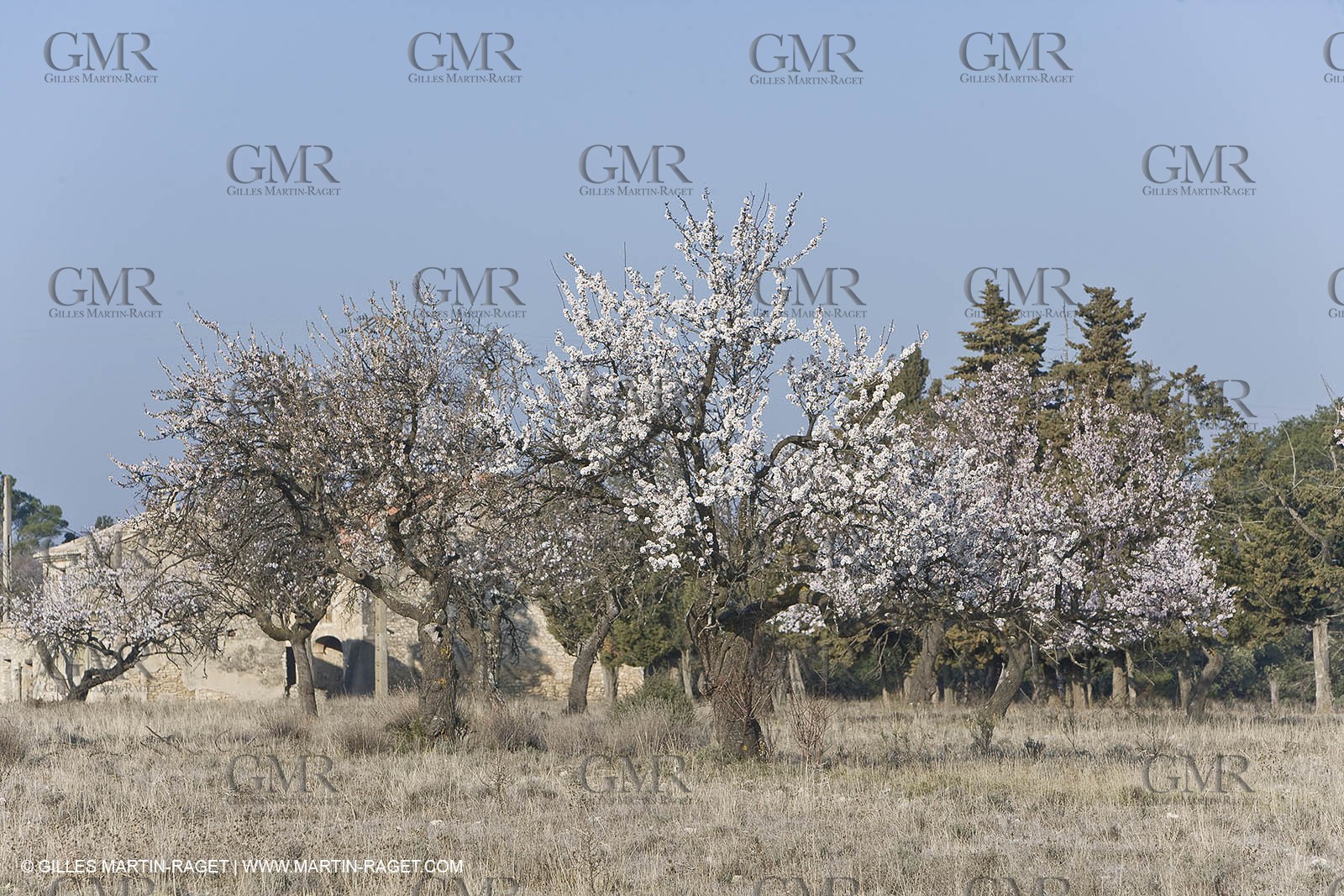 16 02 2008 - Saint Rémy de Provence (FRA, 13) - Alpilles hills landscapes