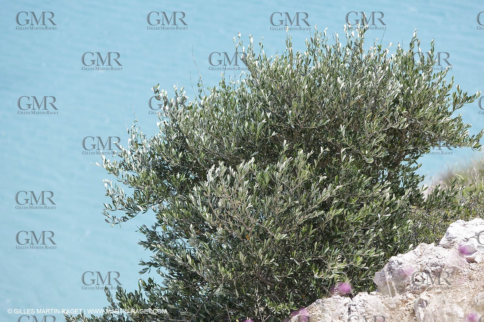 27 05 2009 - Marseille (FRA, 13) - Les Calanques - Sormiou