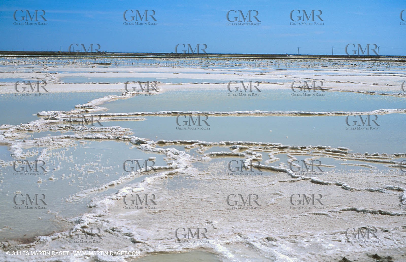 Salt-water marsh