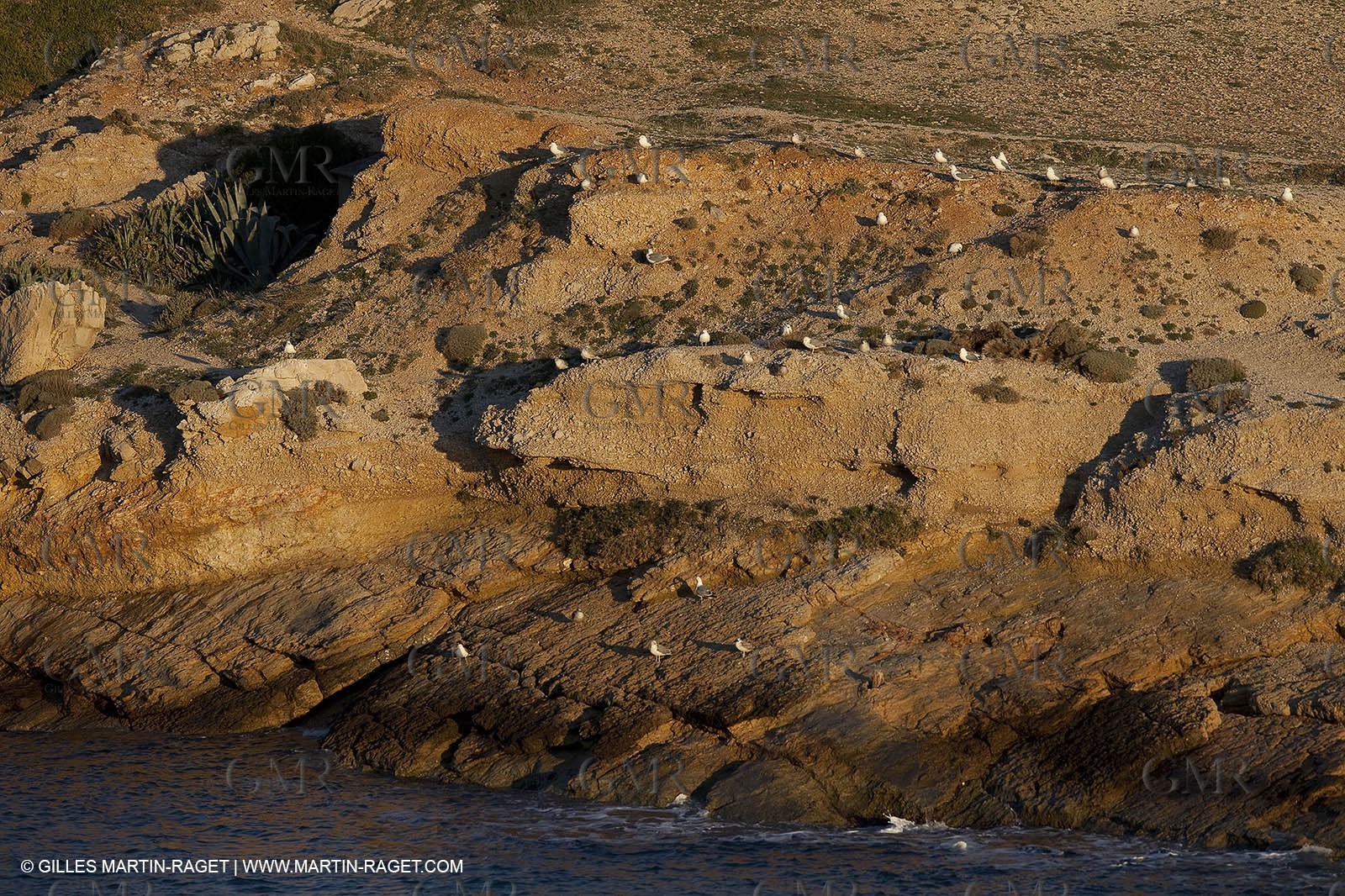 Décembre 2009 - Marseille (FRA) - Les Calanques - Calanque de Marseilleveyre