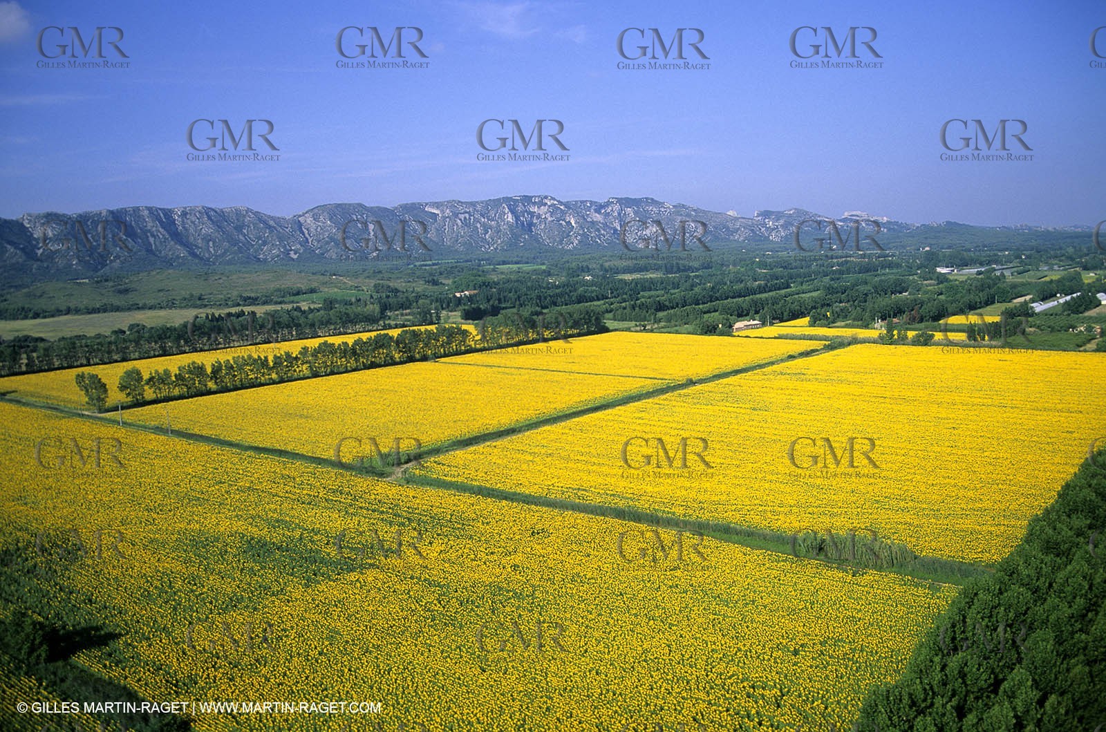 Alpilles countryside