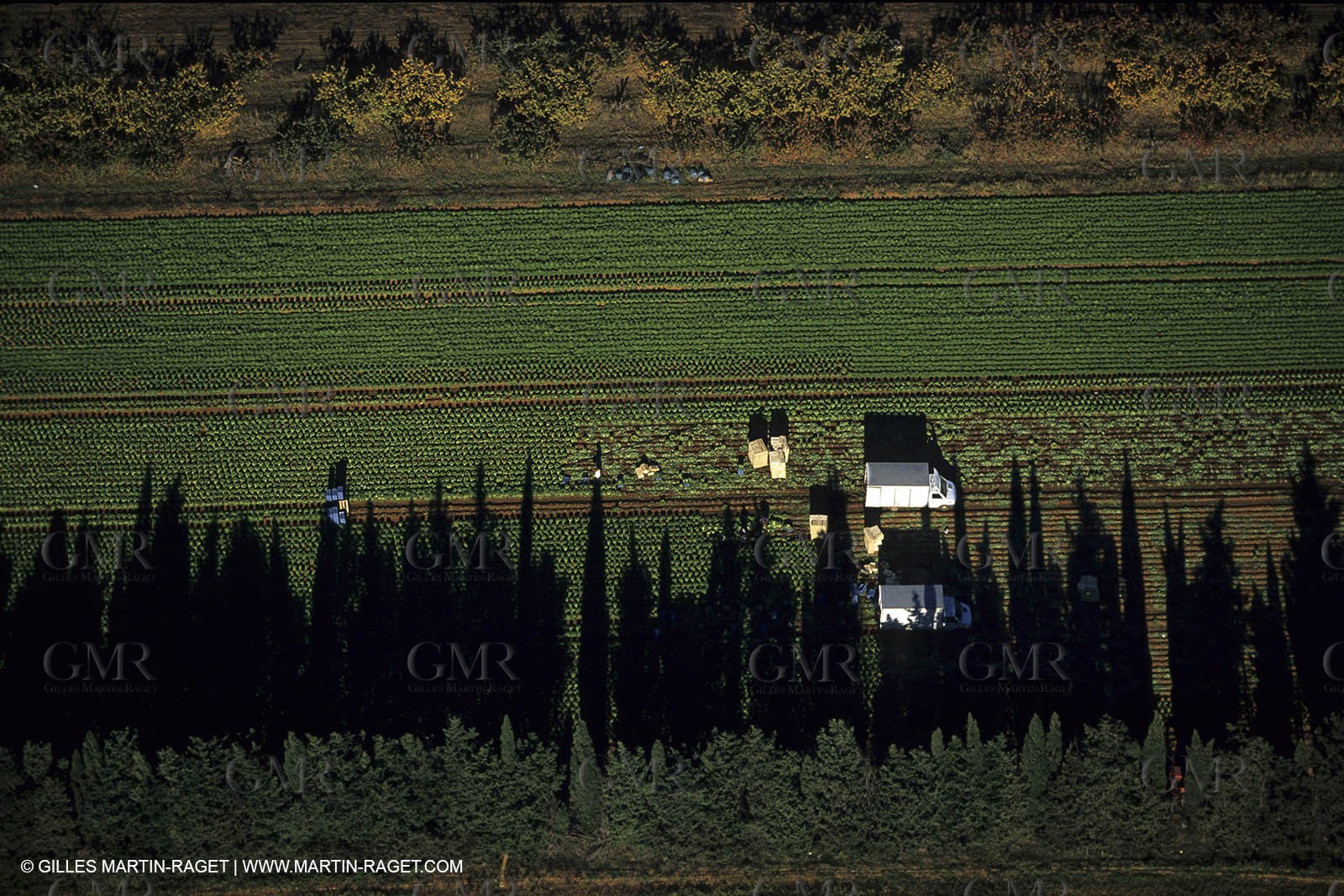 Bouillargues