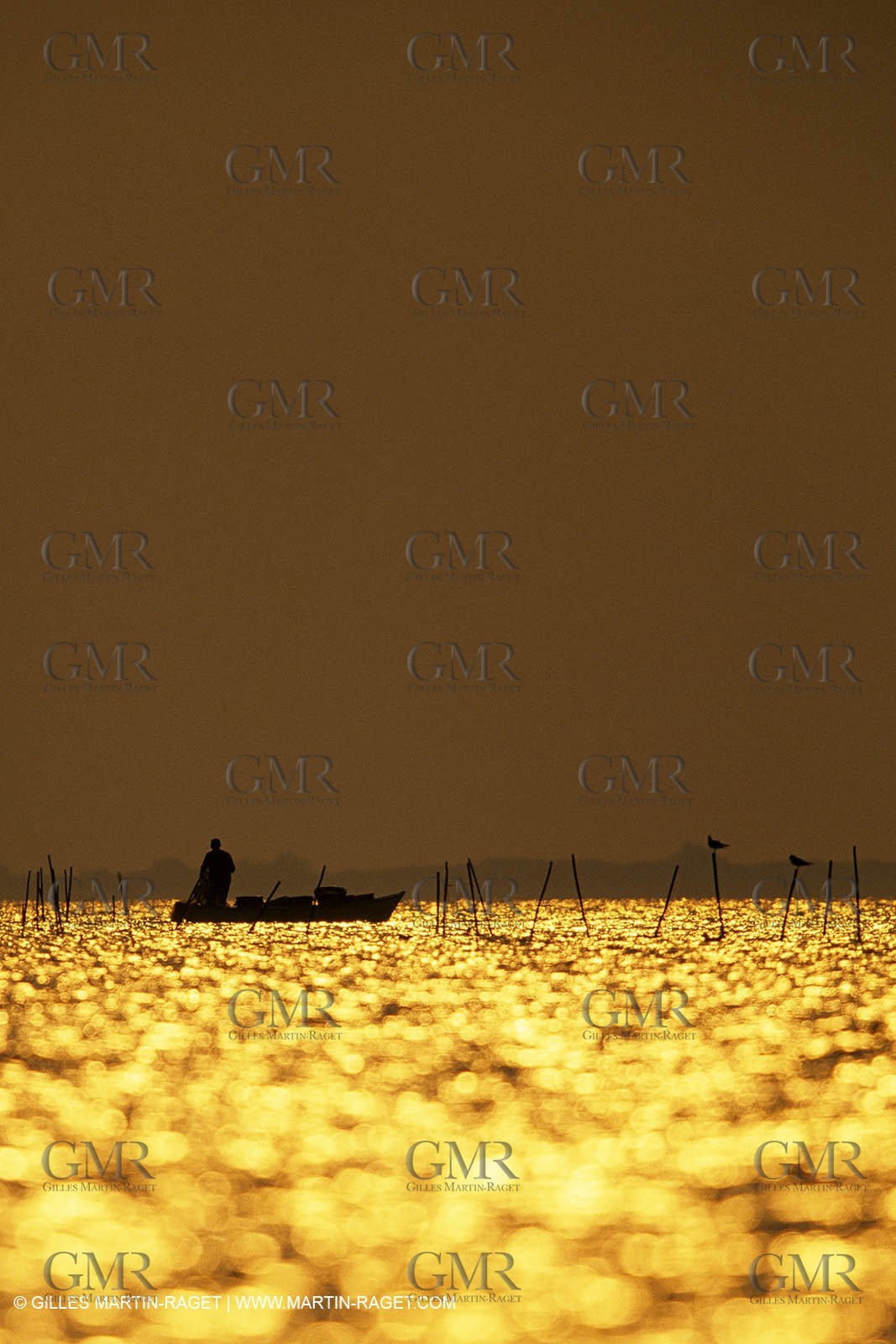 Camargue (FRA,13) - Gardians