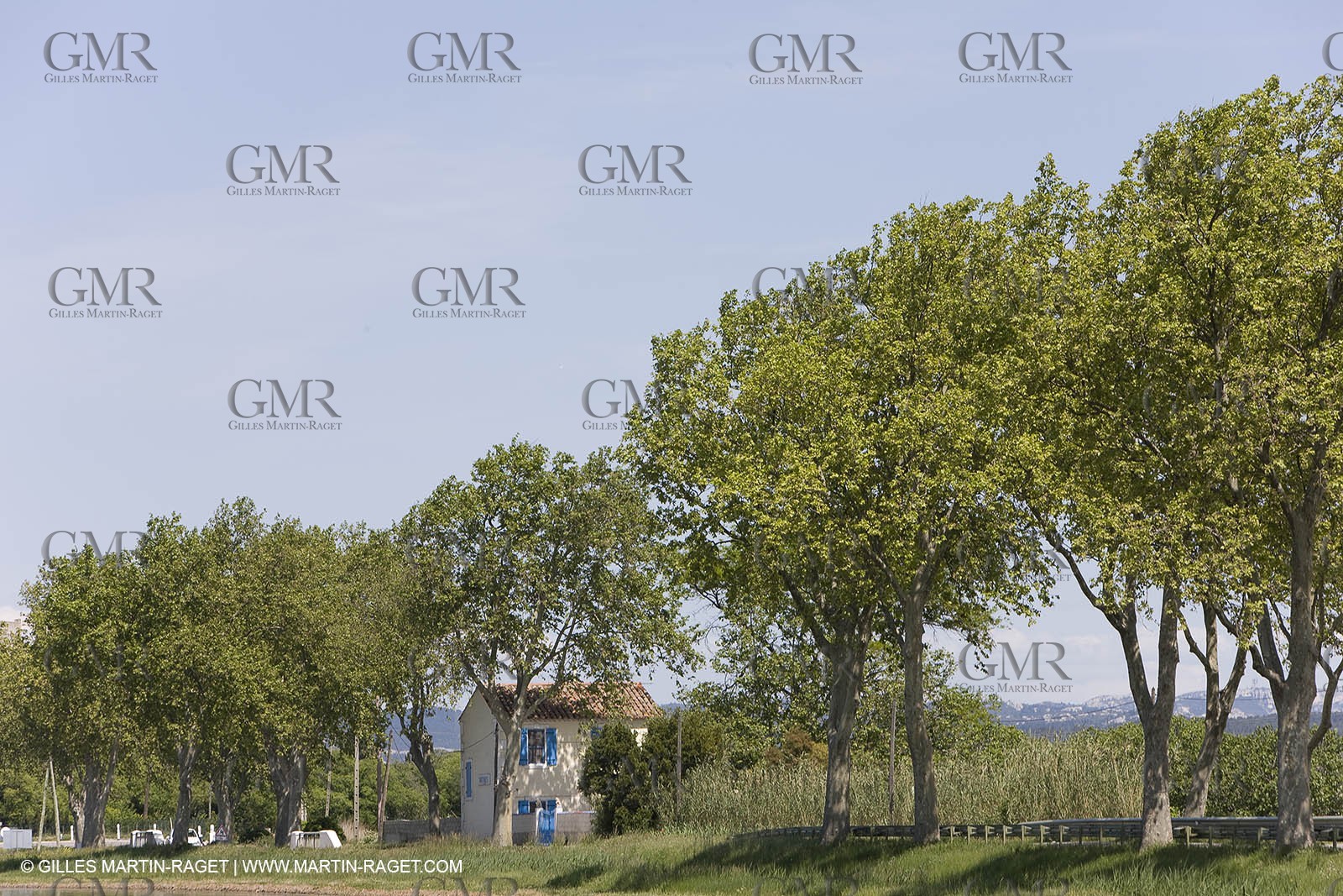 01 05 2008 - Arles (FRA,13) - Queen of Arles election