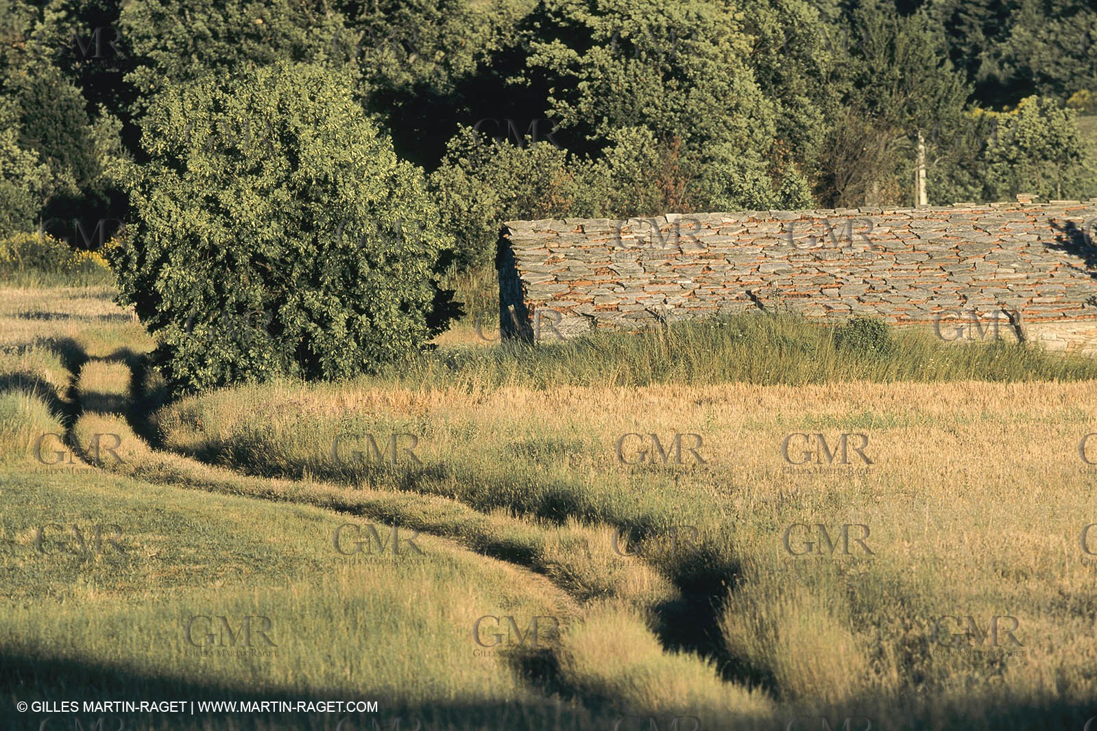 France, Provence, Luberon