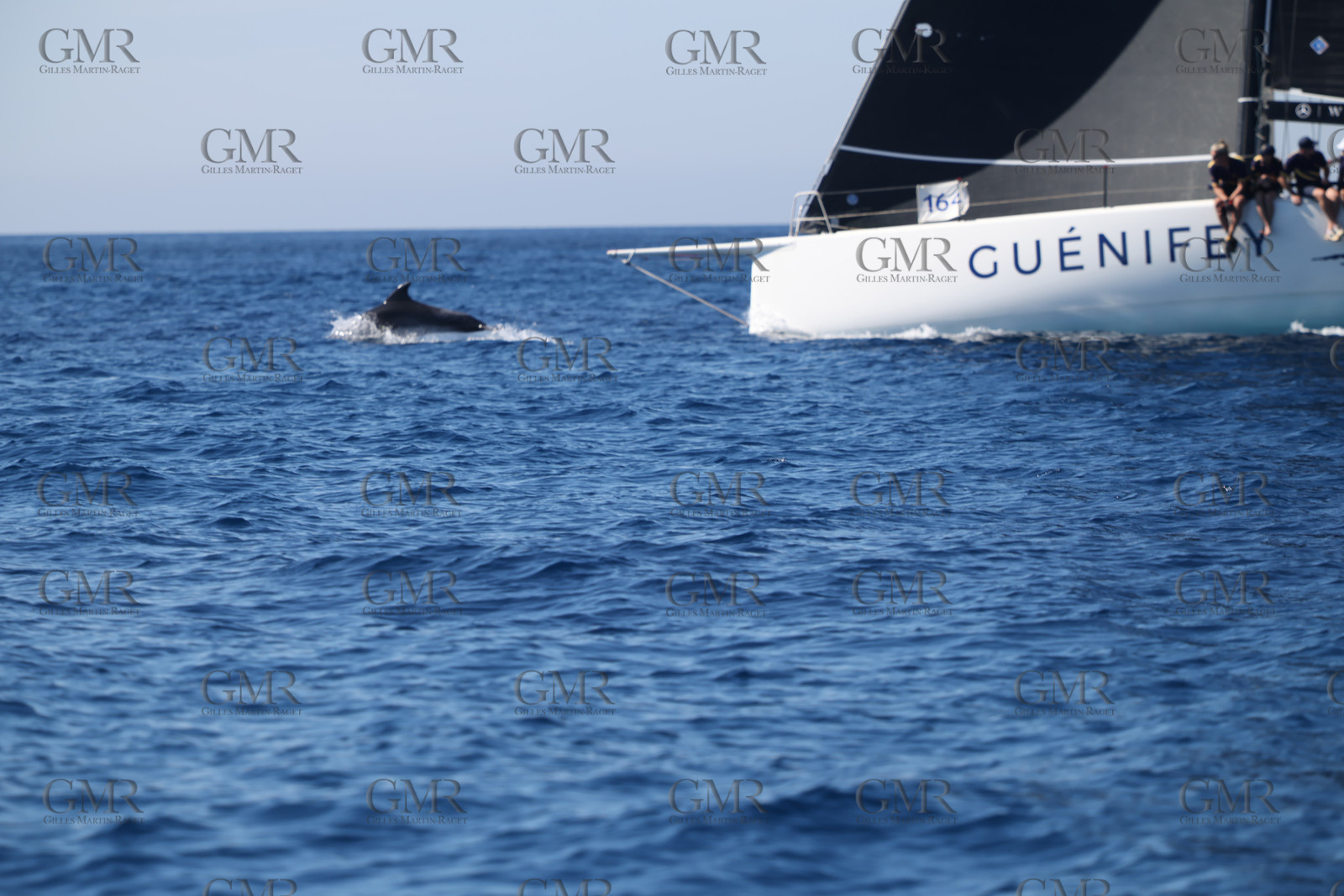 GMR_JurisCup25_3353.jpg