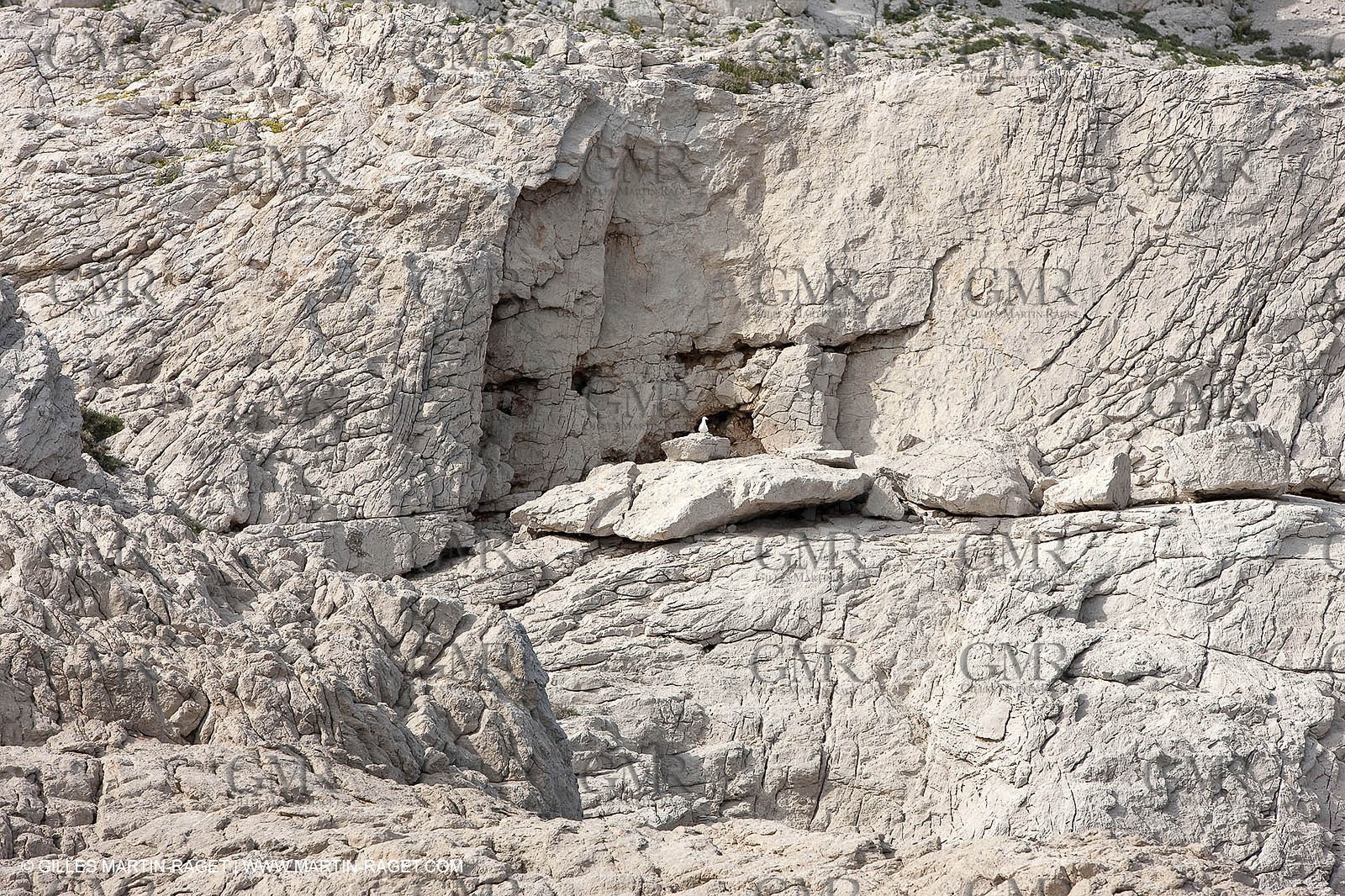 05 05 2009 - Marseille (FRA, 13) - Les Calanques - Riou island
