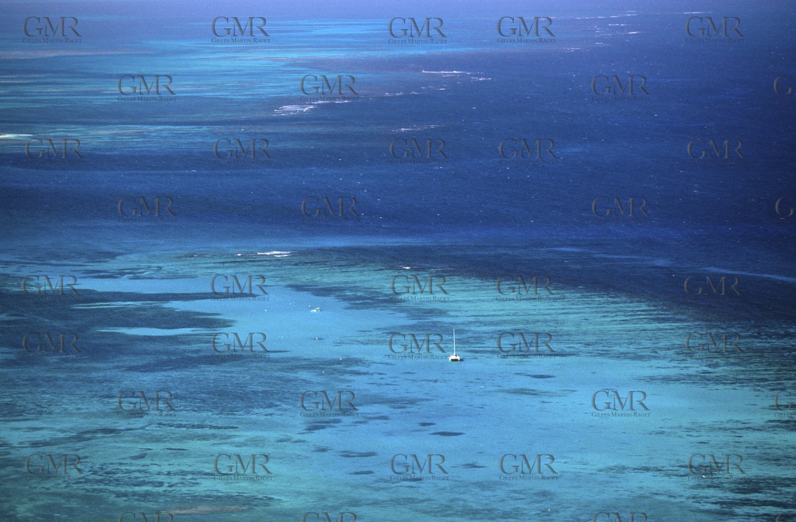 Guadelupe
