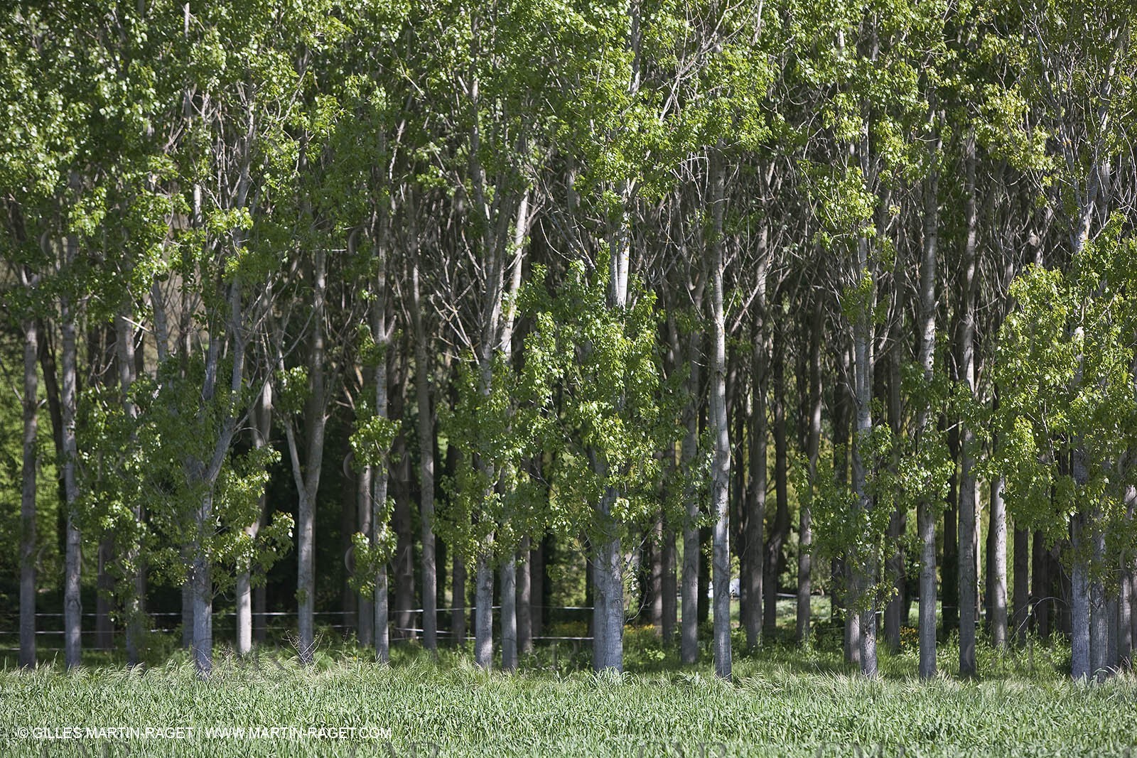 28 04 2009 - Russan - Ste Anastasie (FRA, 30) - Atlas Nîmes Métropole -  2009 campaign