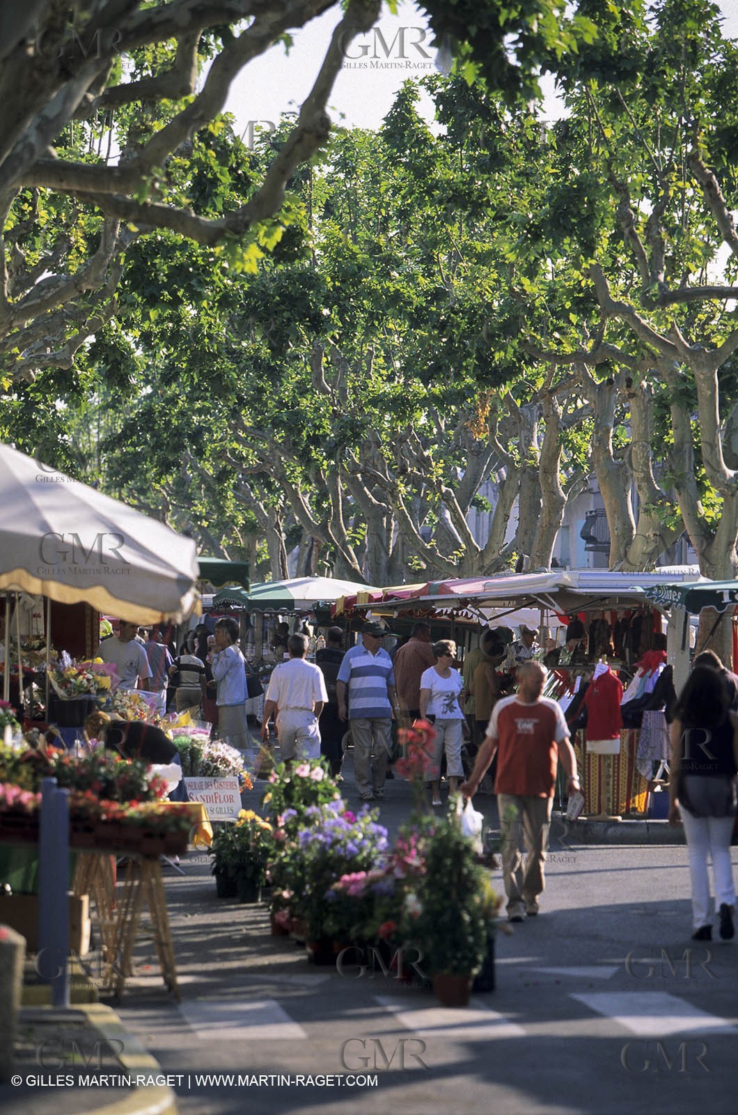 Marché du samedi à Saint Gilles (30)