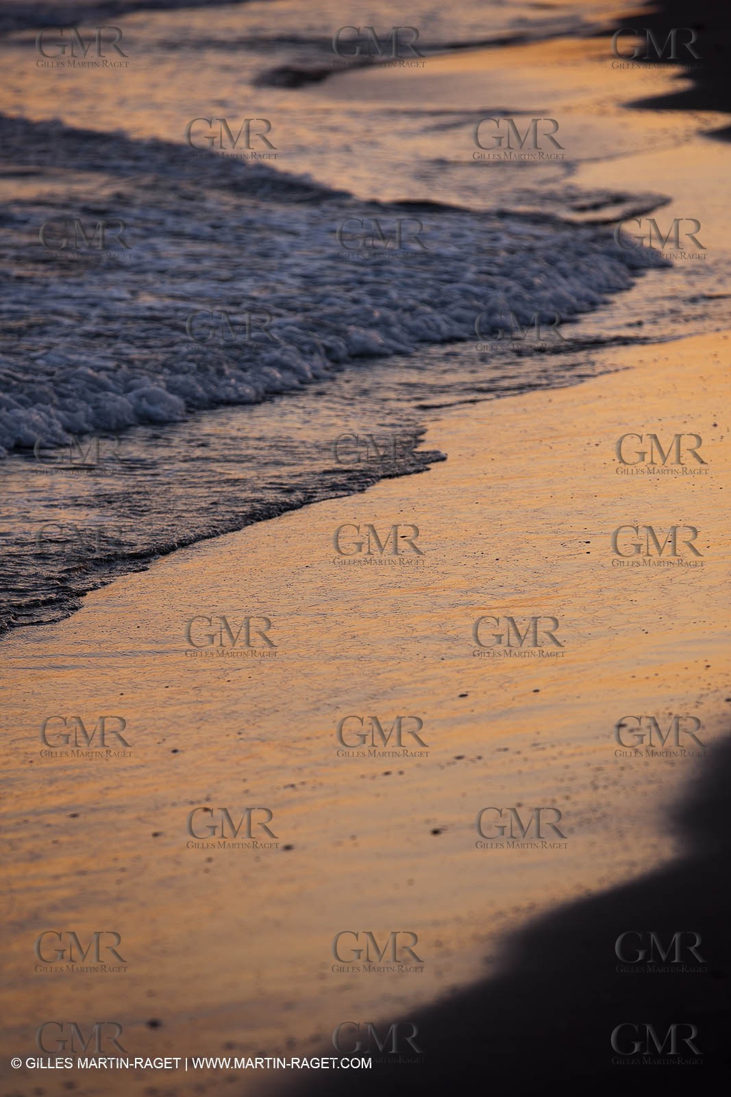 25 05 2011 - Les Saintes Maries de la Mer (FRA,13) - gypsies gathering