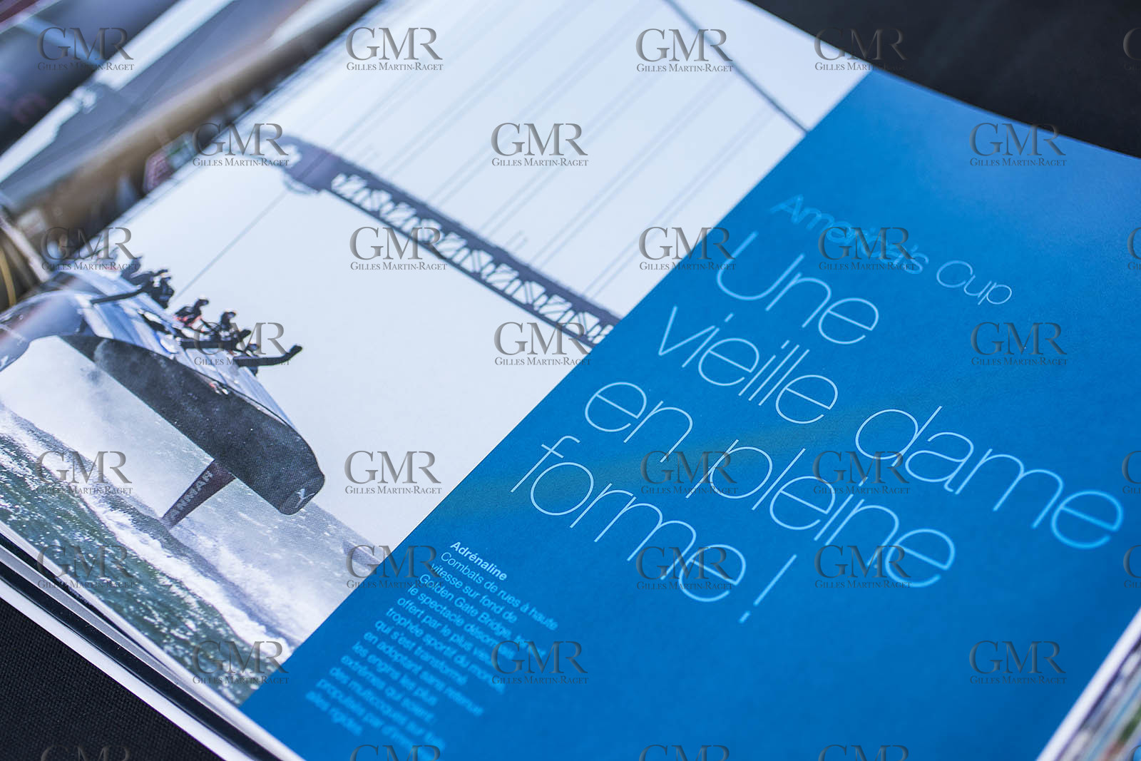 17 août 2014 - Book Vu en Mer (as seen at sea) - Editions du Chêne (Paris, FRA)- Gilles Martin-Raget