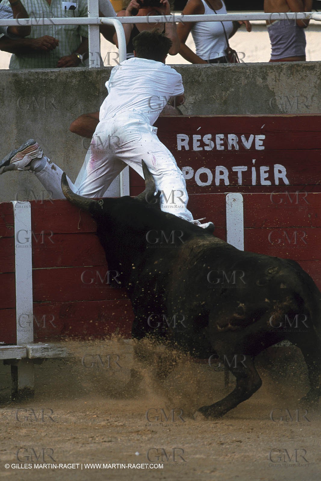Camargue Bull game