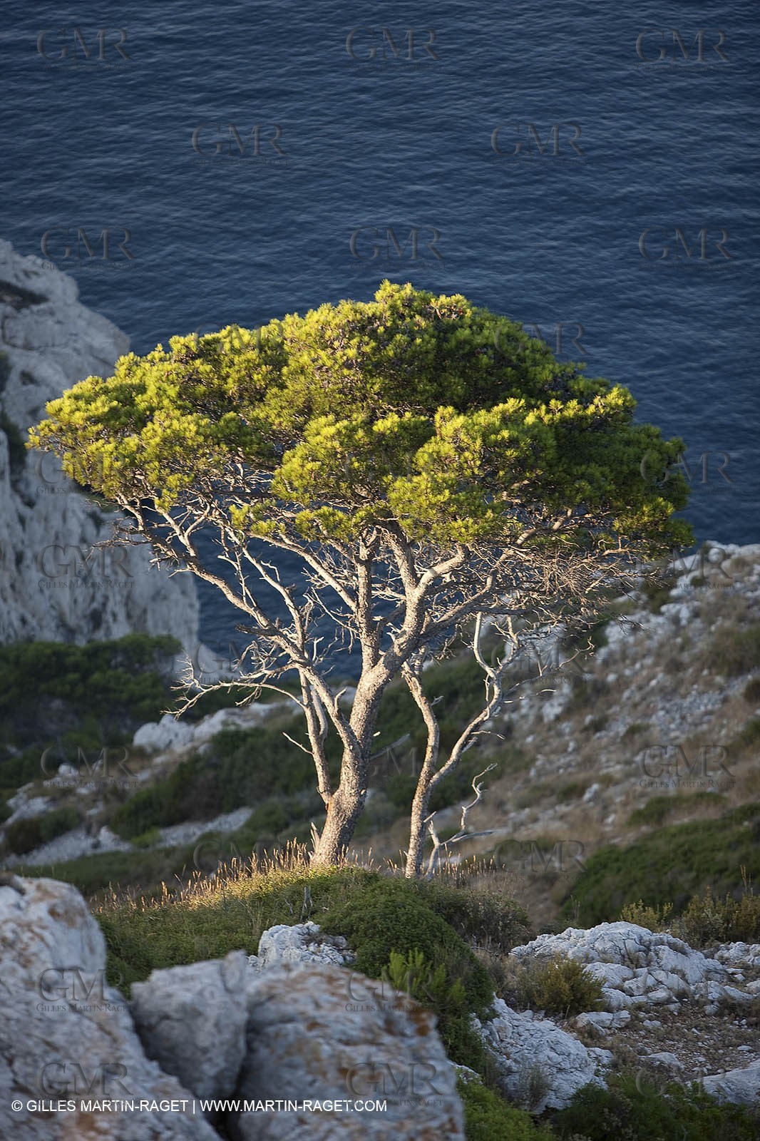 29 07 2009 - Marseille (FRA, 13) - Les Calanques