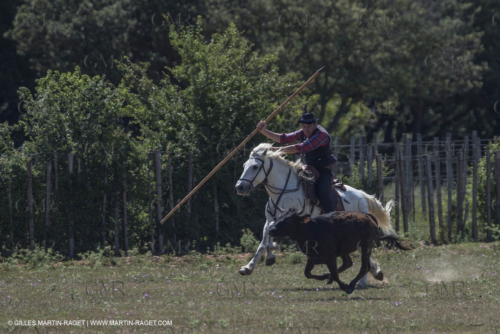 Course de Satin 2014 - Arles (FRA,13) - 1 06 2014**The satin race - Arles (FRA,13) - 01 06 2014