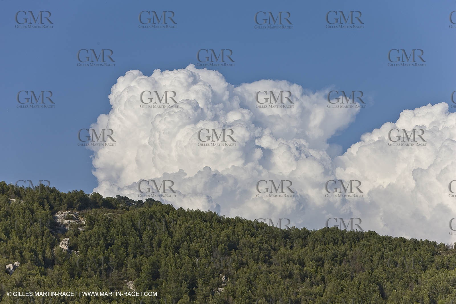 26 06 09 - Sanary sur mer (FRA,83)