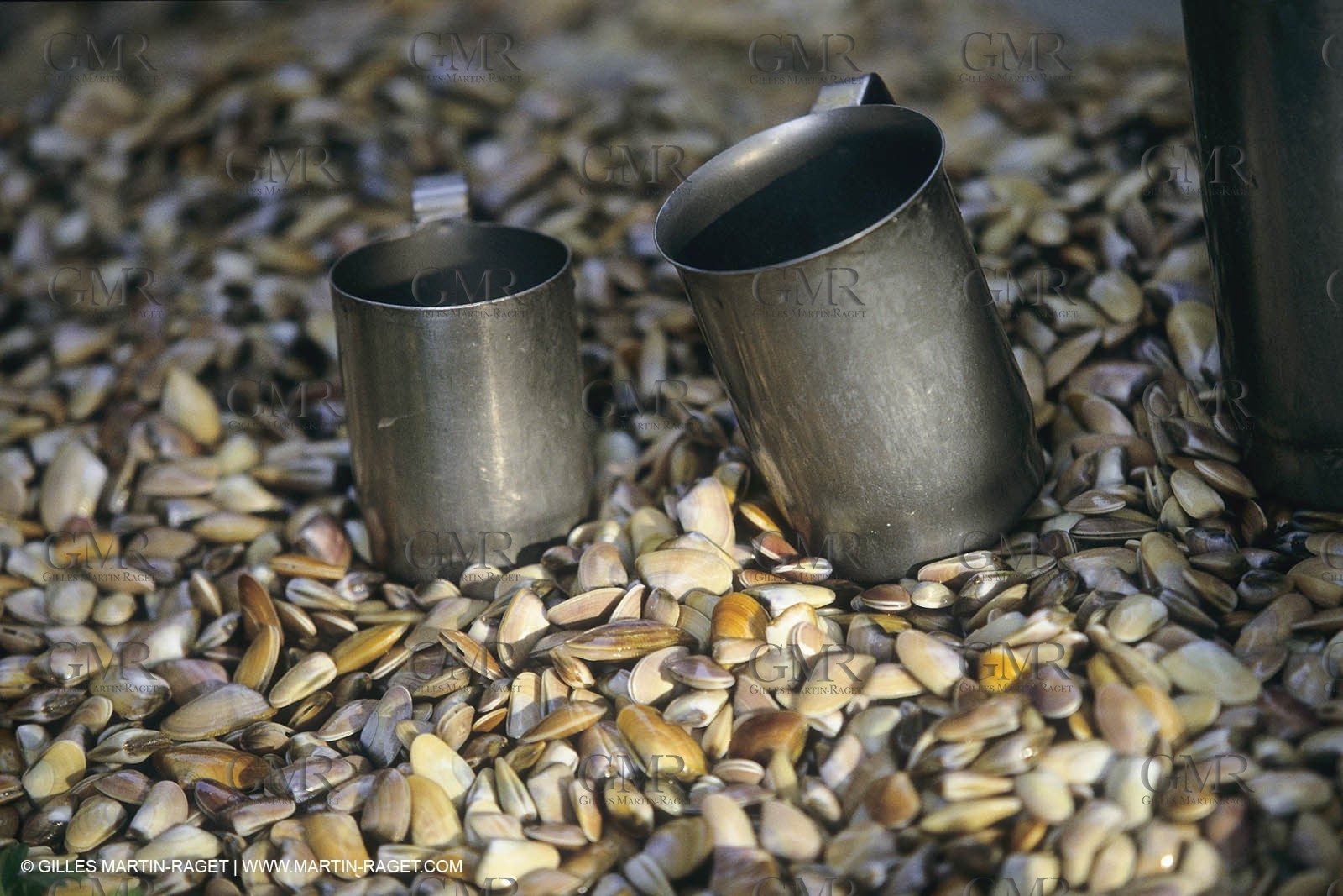 France, Provence, Camargue, Nature, Pêche, Fishing