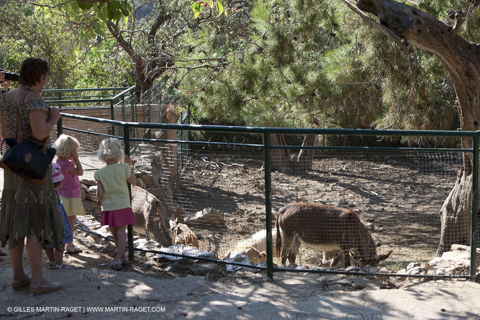 28 07 2009 - Sanary sur mer (FRA,83) - Zoo - Exotic garden