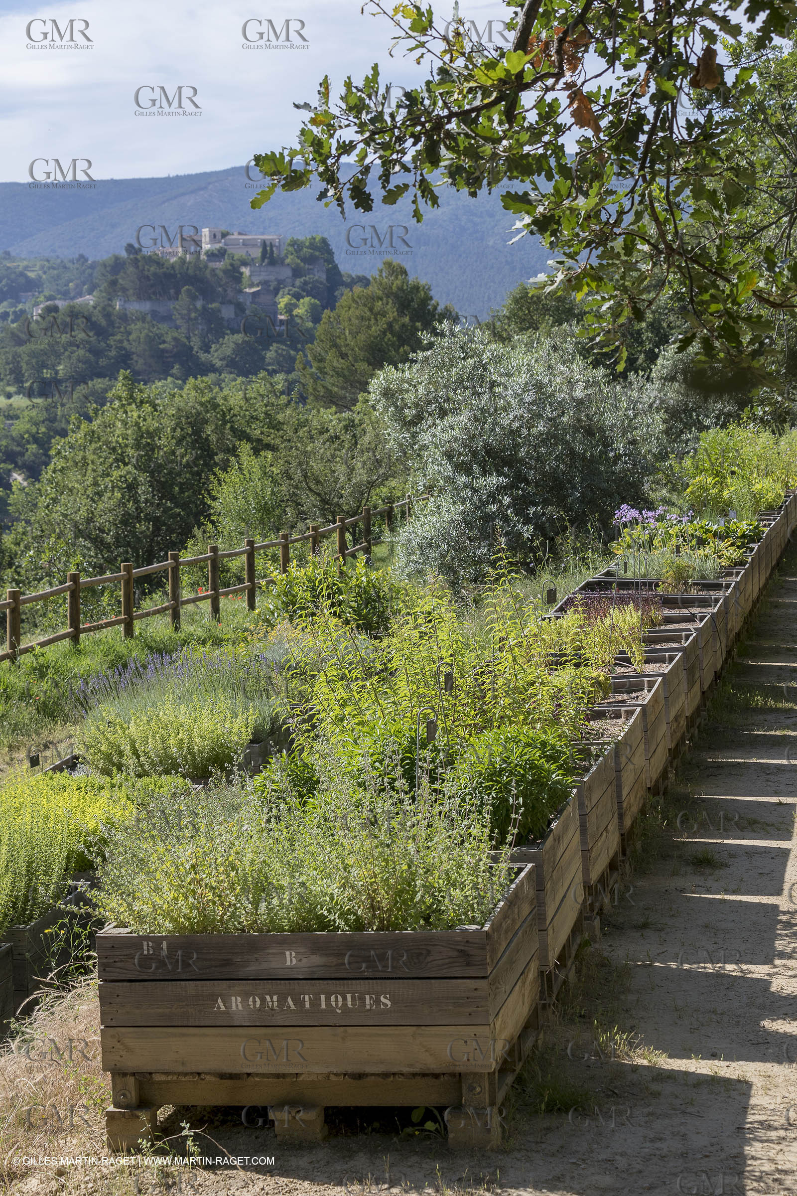 22 06 2018, Ménerbes (FRA,84), Domaine de la Citadelle, Jardin Botanique