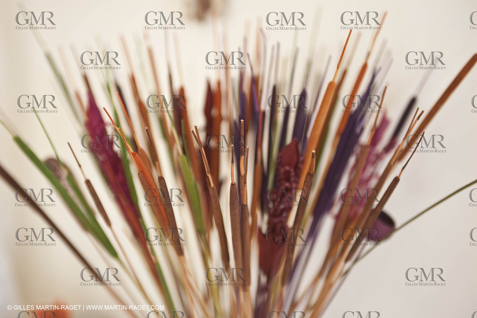 22 12 2008-Carcès (FRA,83) - Domaine du Lac