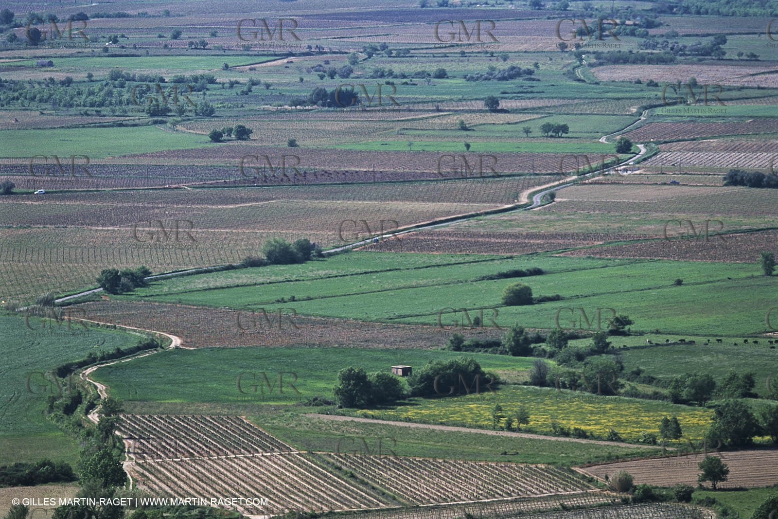 Nîmes Métropole landscapes (FRA,30) - Vaunage