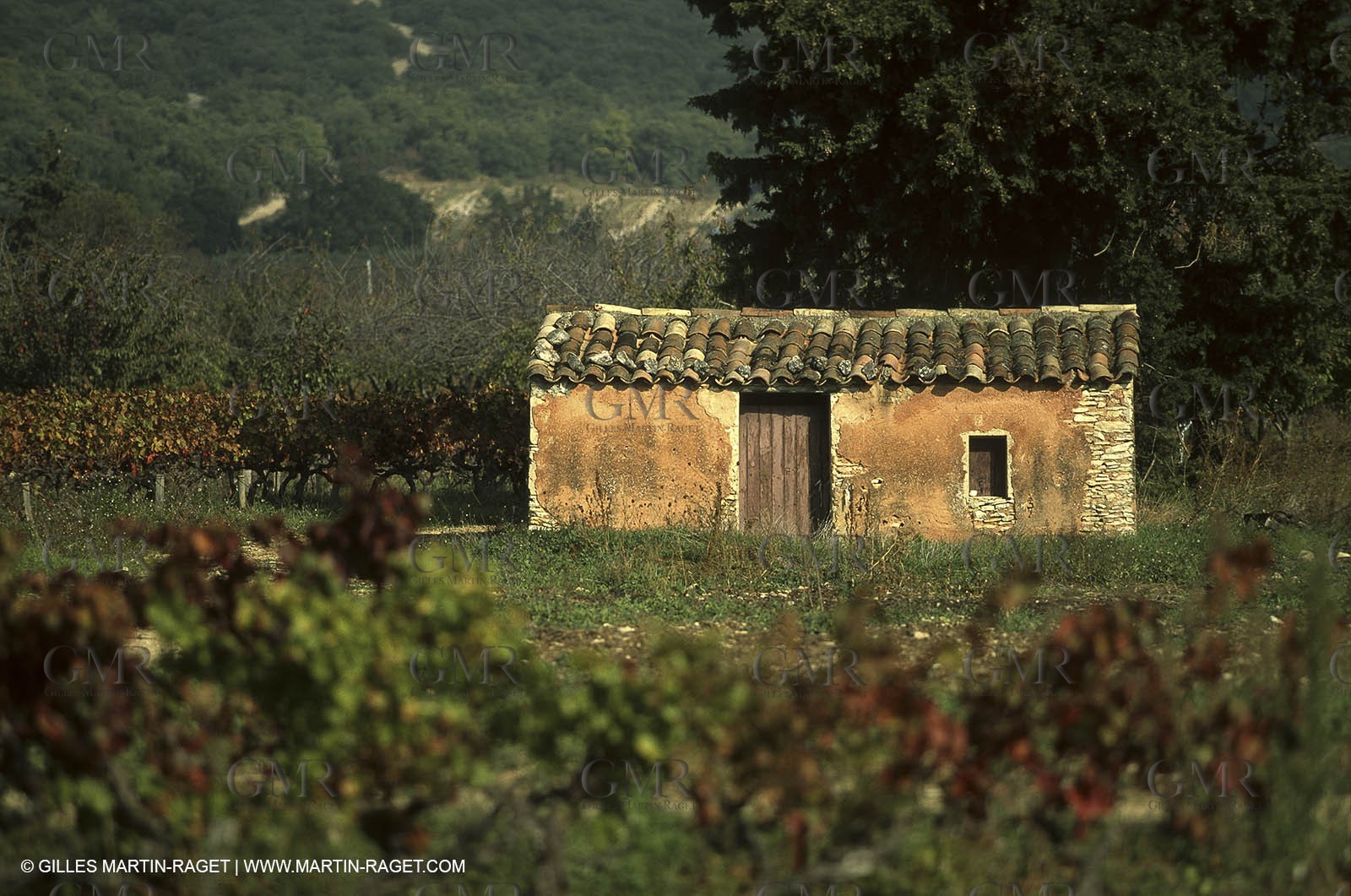 Luberon (FRA,84), Fall colors