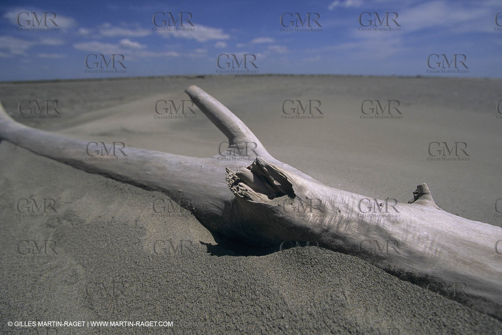 France, Provence, Camargue, Nature, plage, sable