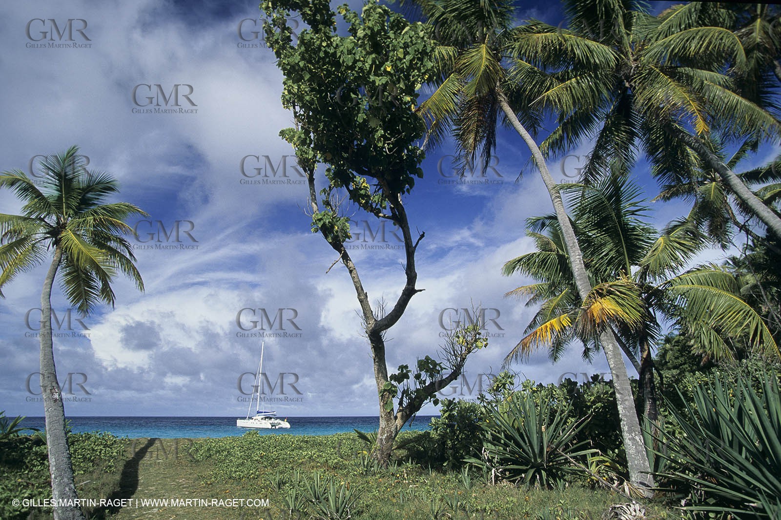 sailing, cruising, monohull at the mooring