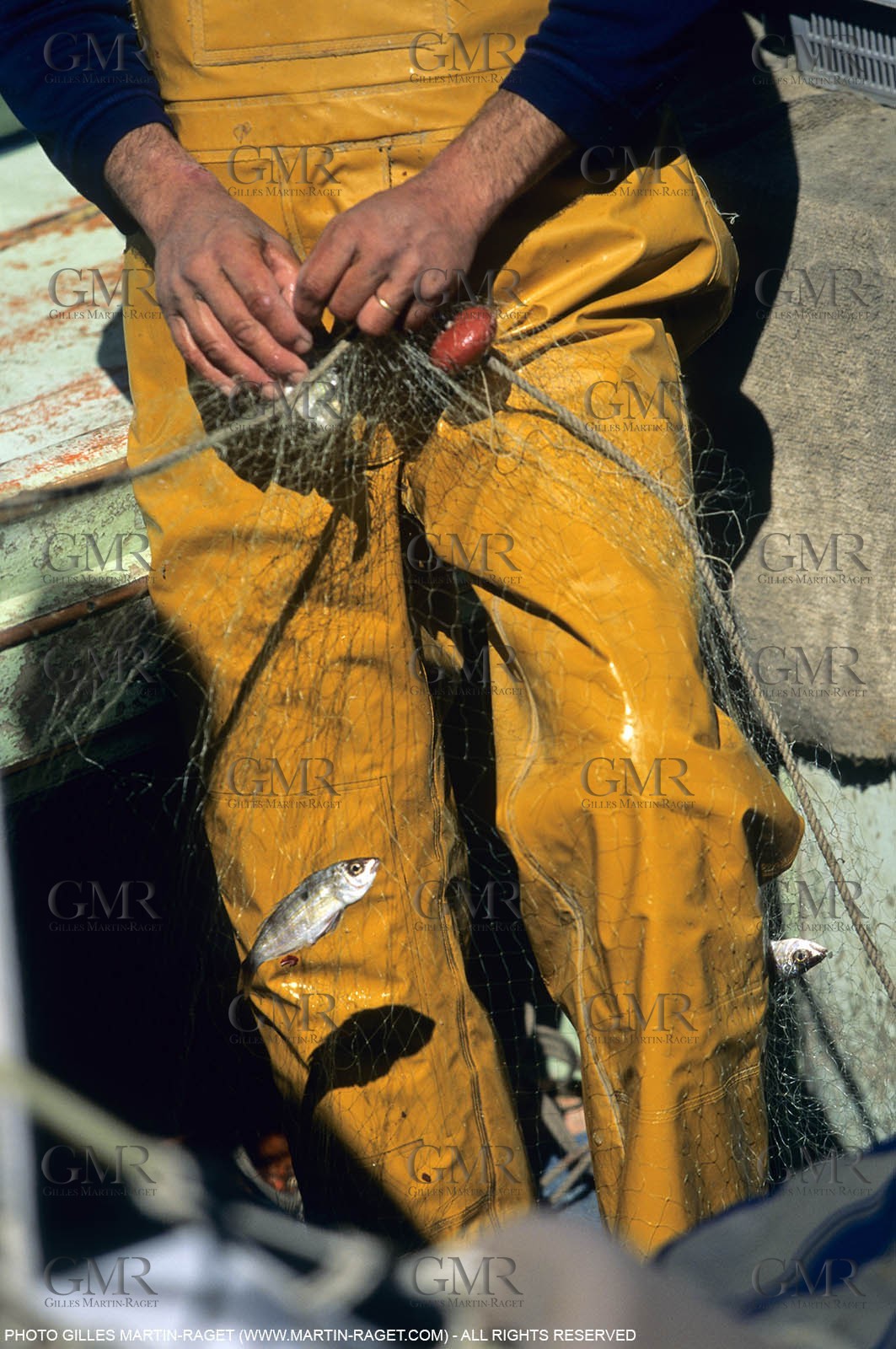 Marseille (FRA,13), Fishing