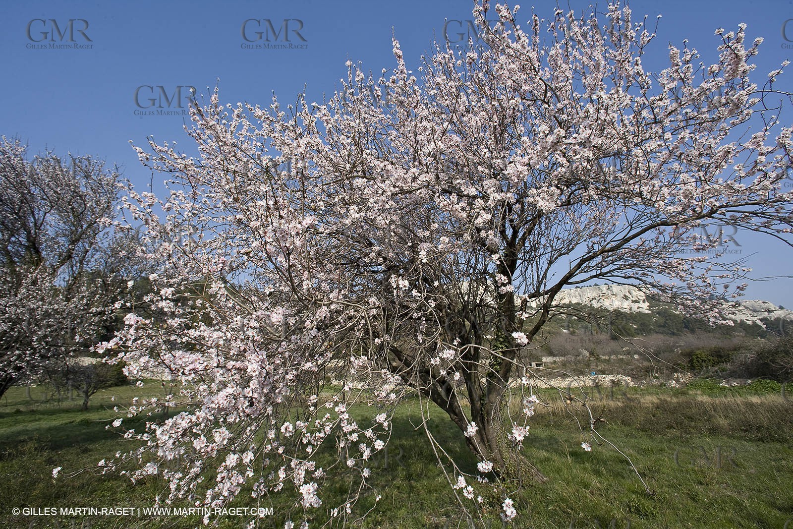 16 02 2008 - Les Baux de Provence (FRA, 13) - Alpilles hills landscapes