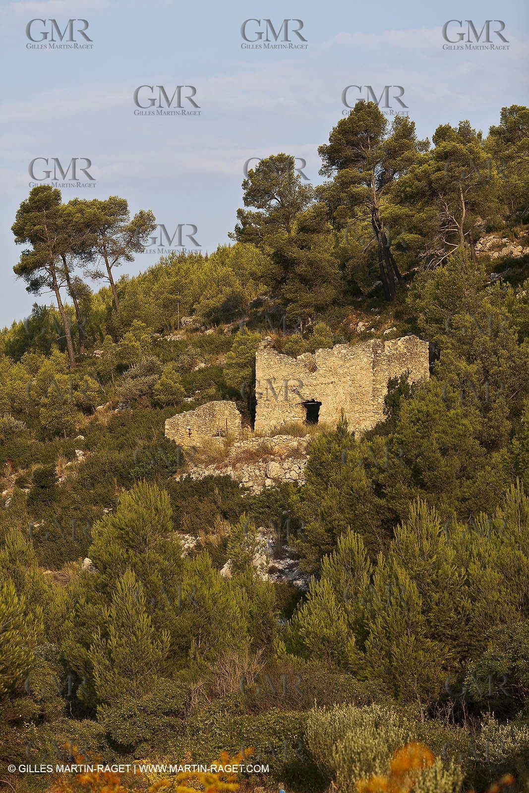 28 08 2009 - Sanary sur mer (FRA,83)