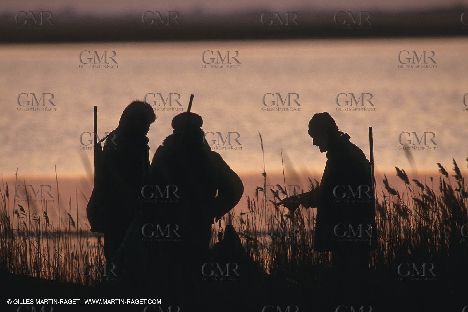 France, Provence, Camargue, Chasse, Hunting