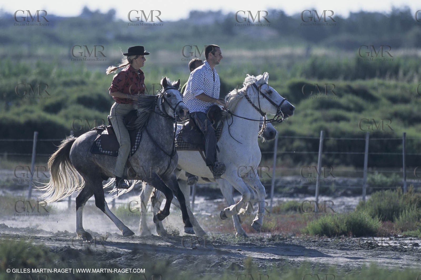 France, Provence, Camargue, Gardians de Camargue, métier, fêtes, élevage, tri