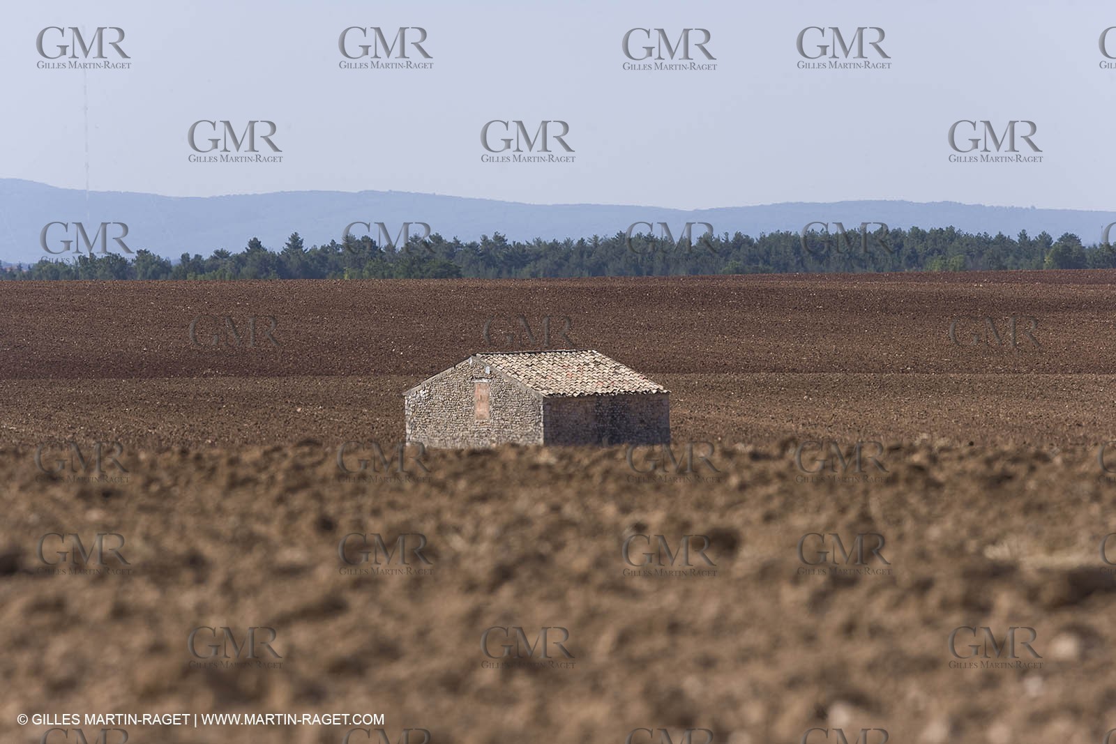13 08 2007 - Valensole (04) - lavender fields on Valensole plateau