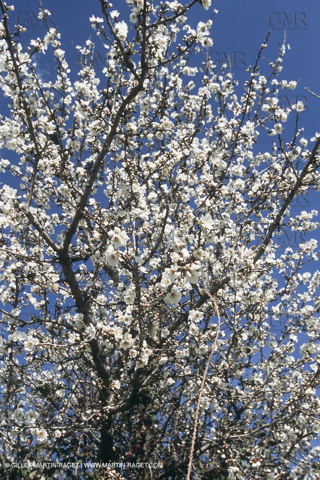 Nîmes Métropole landscapes (FRA,30) - Vaunage