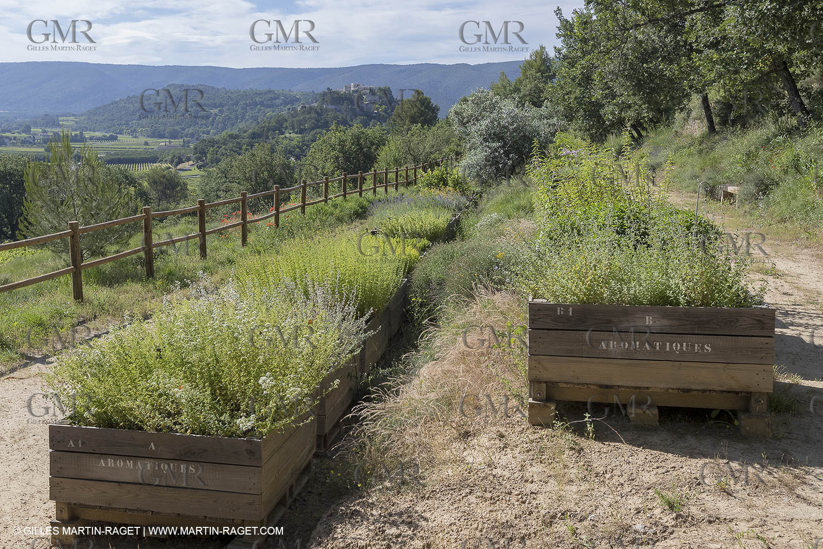 22 06 2018, Ménerbes (FRA,84), Domaine de la Citadelle, Jardin Botanique