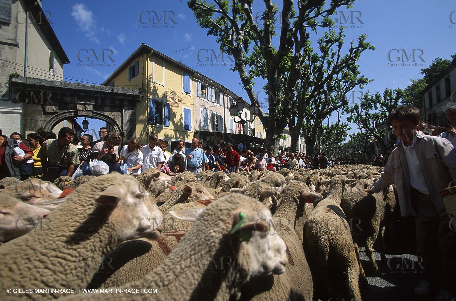 Saint Rémy de Provence (FRA,13) - Sheep stocks migration Fest