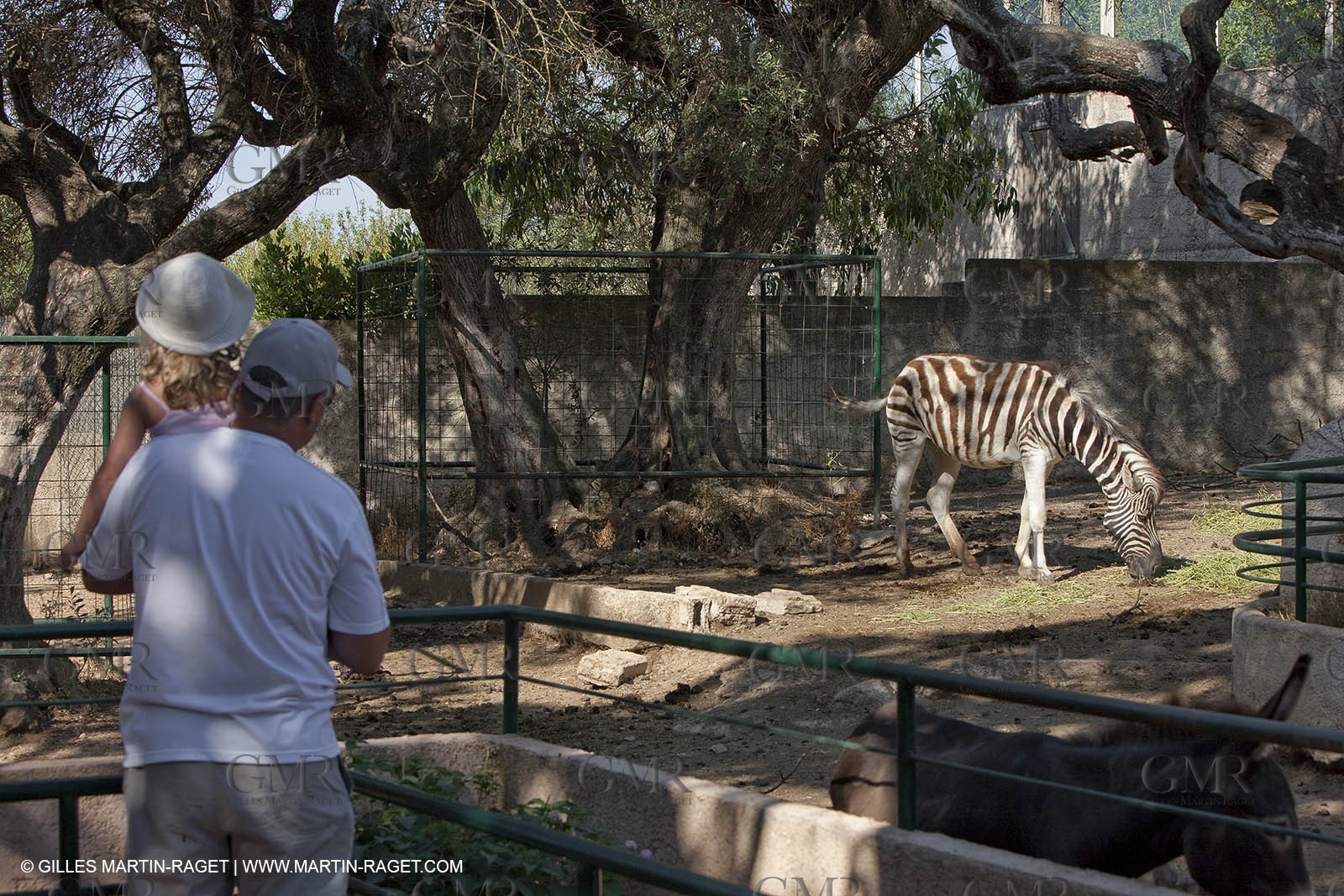 28 07 2009 - Sanary sur mer (FRA,83) - Zoo - Exotic garden