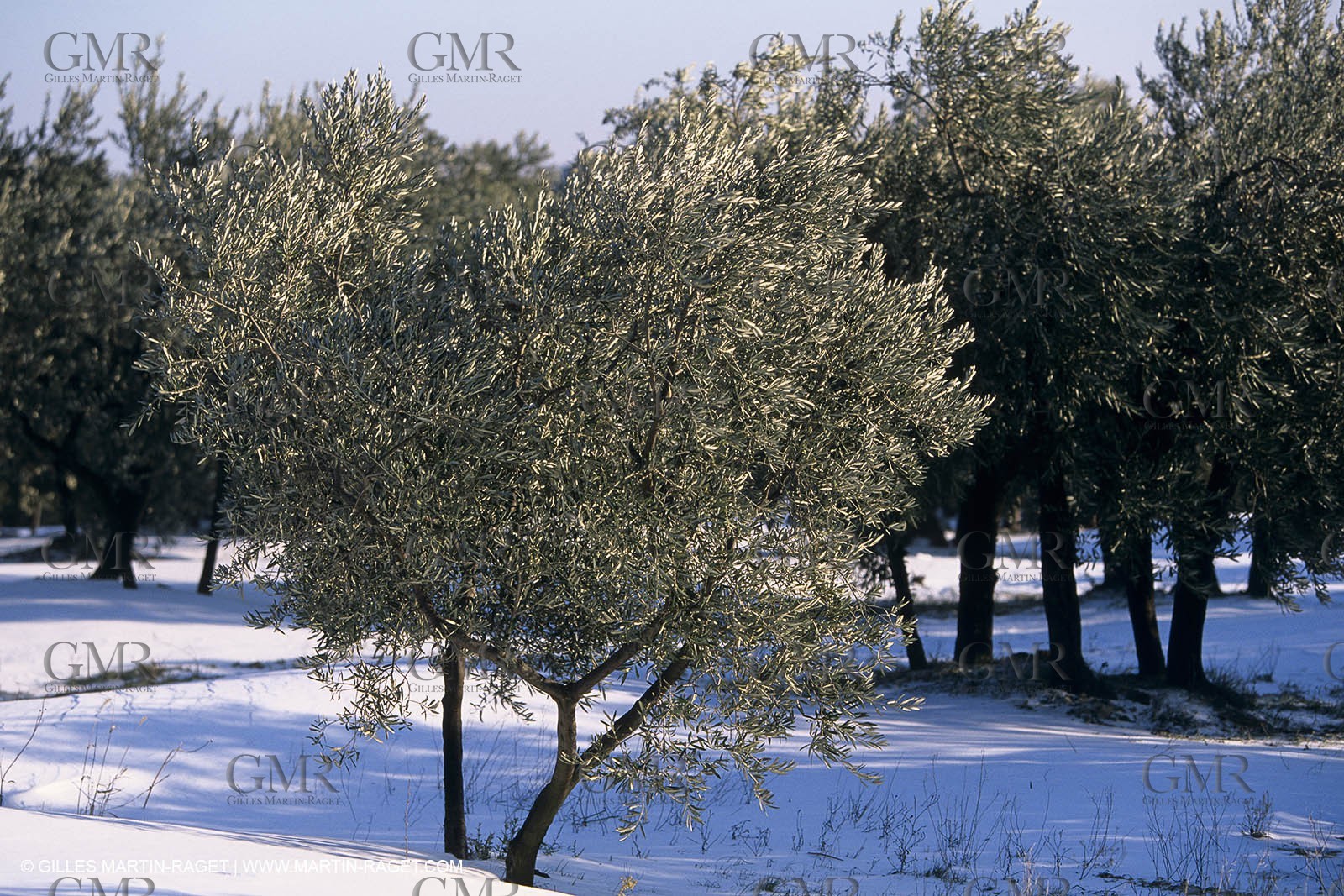 Provence under snow - Baux ed Provence