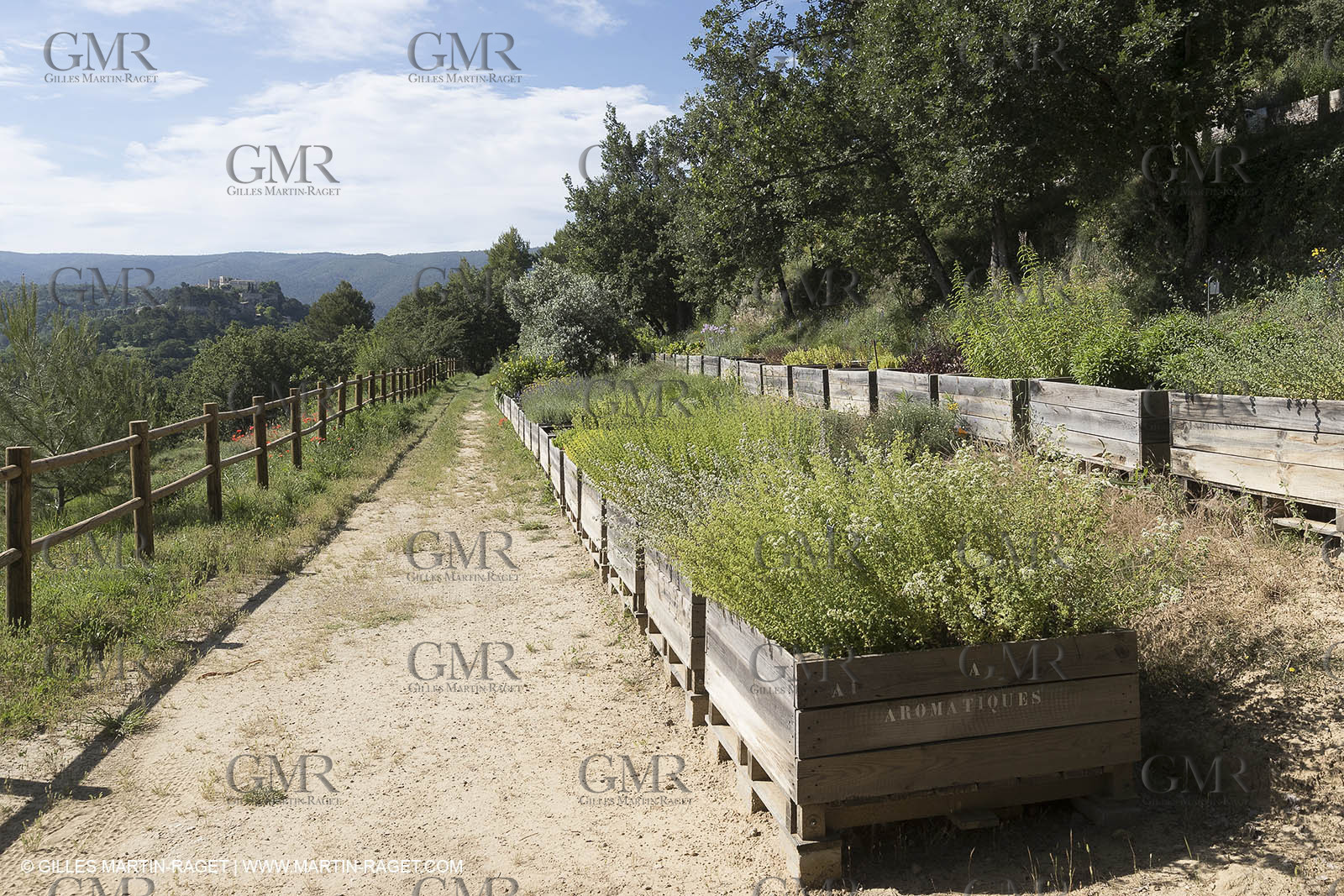 22 06 2018, Ménerbes (FRA,84), Domaine de la Citadelle, Jardin Botanique
